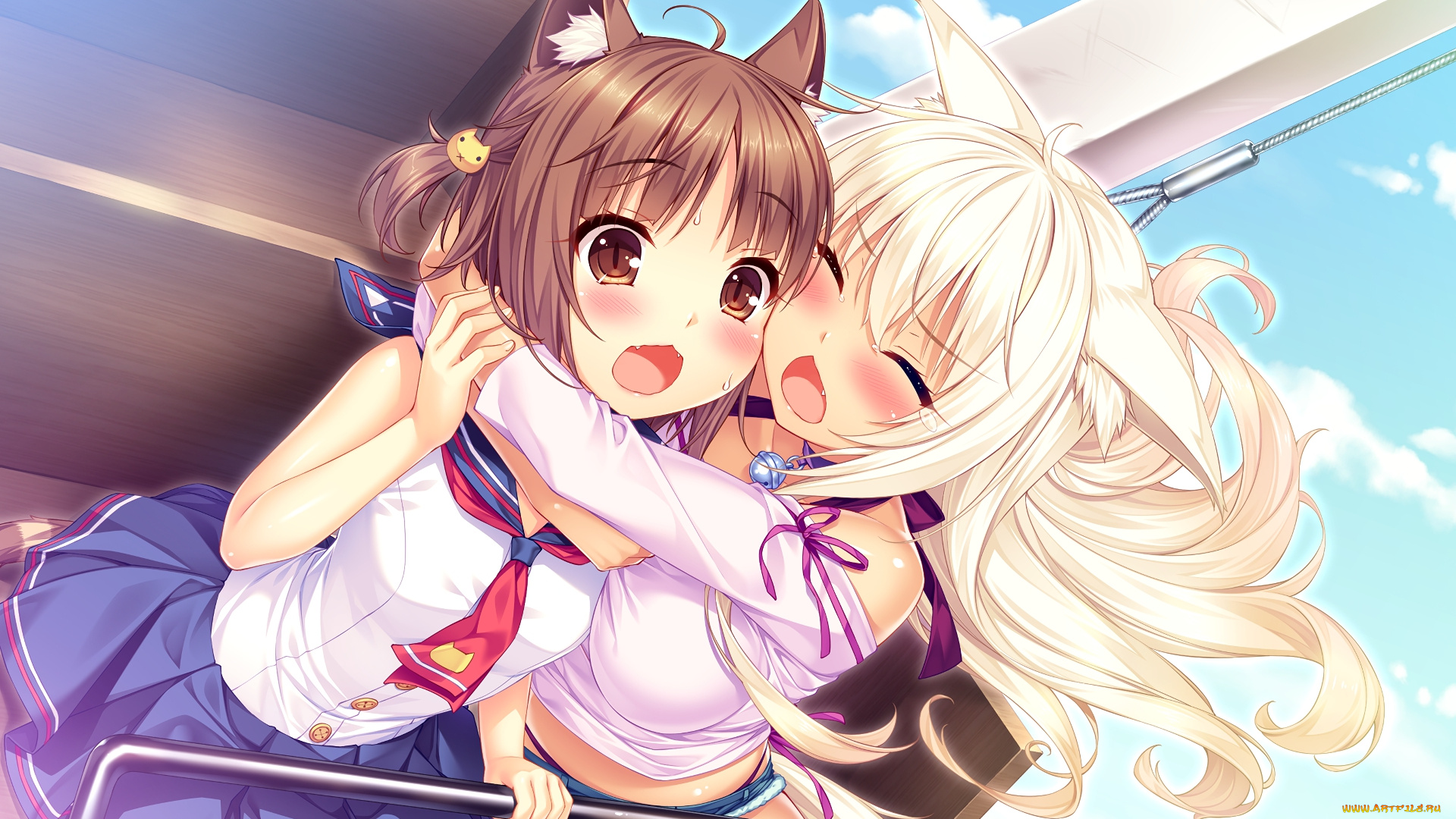 аниме, nekopara, нэкопара