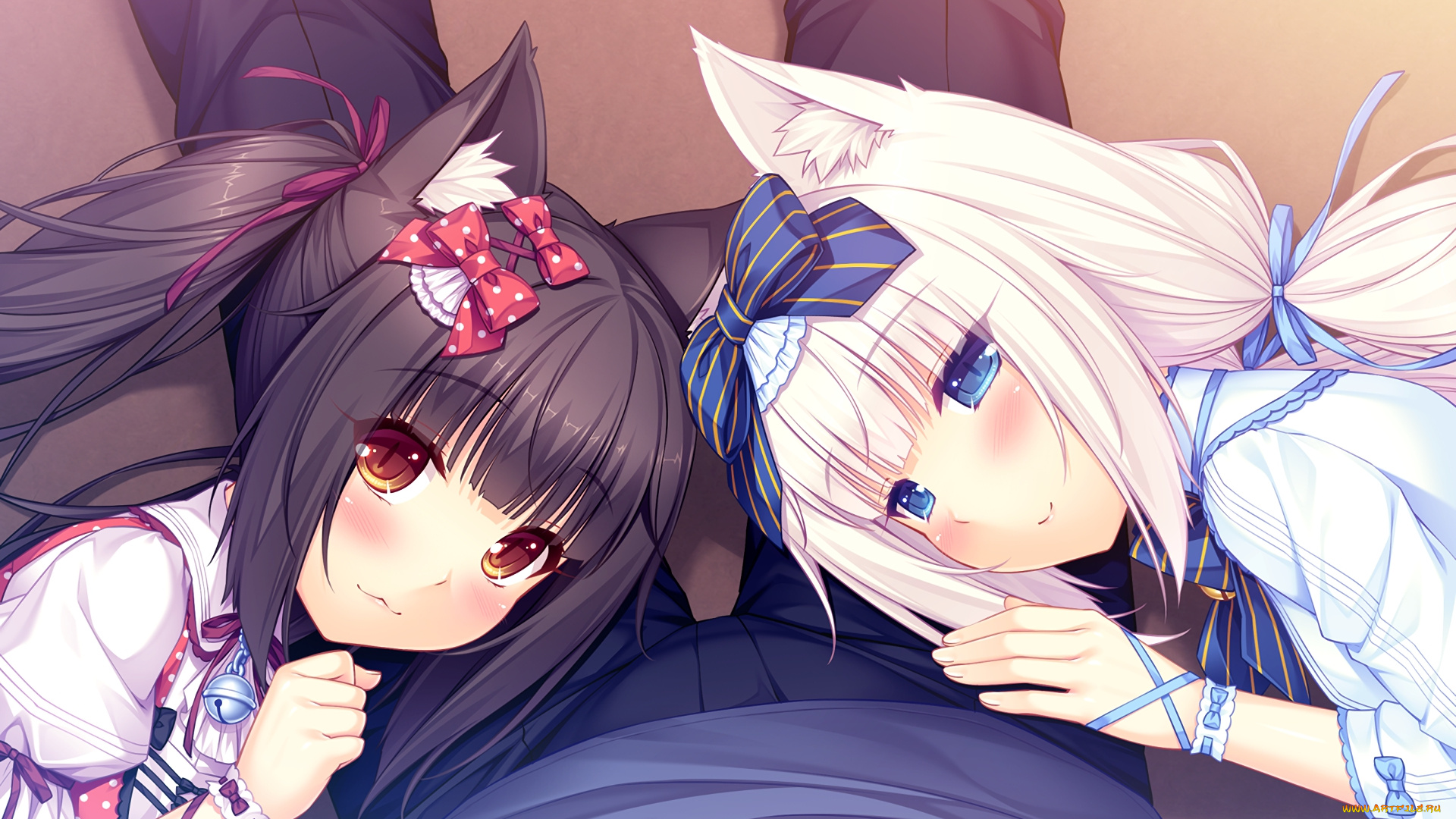 аниме, nekopara, нэкопара