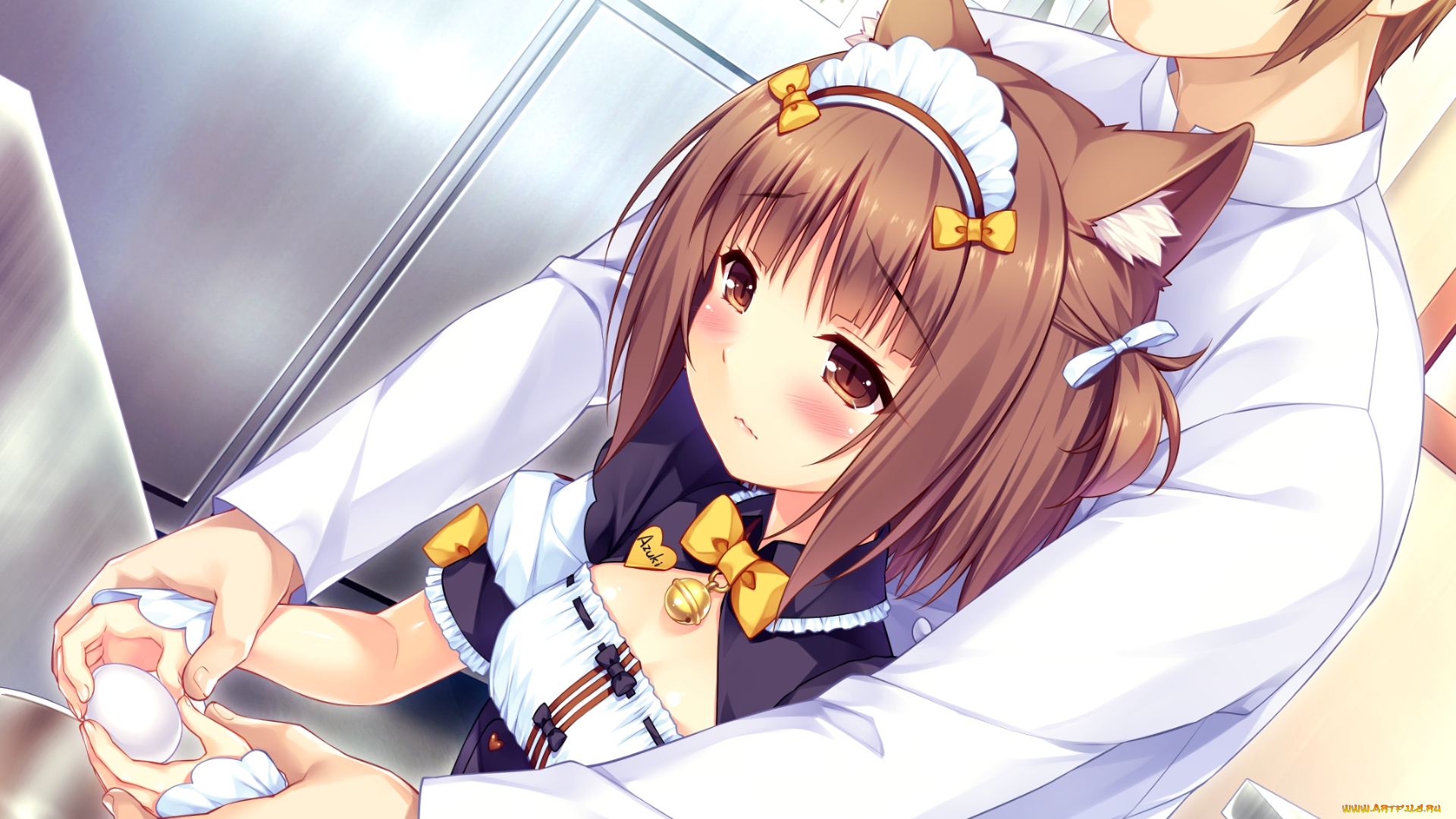 аниме, nekopara, некопара