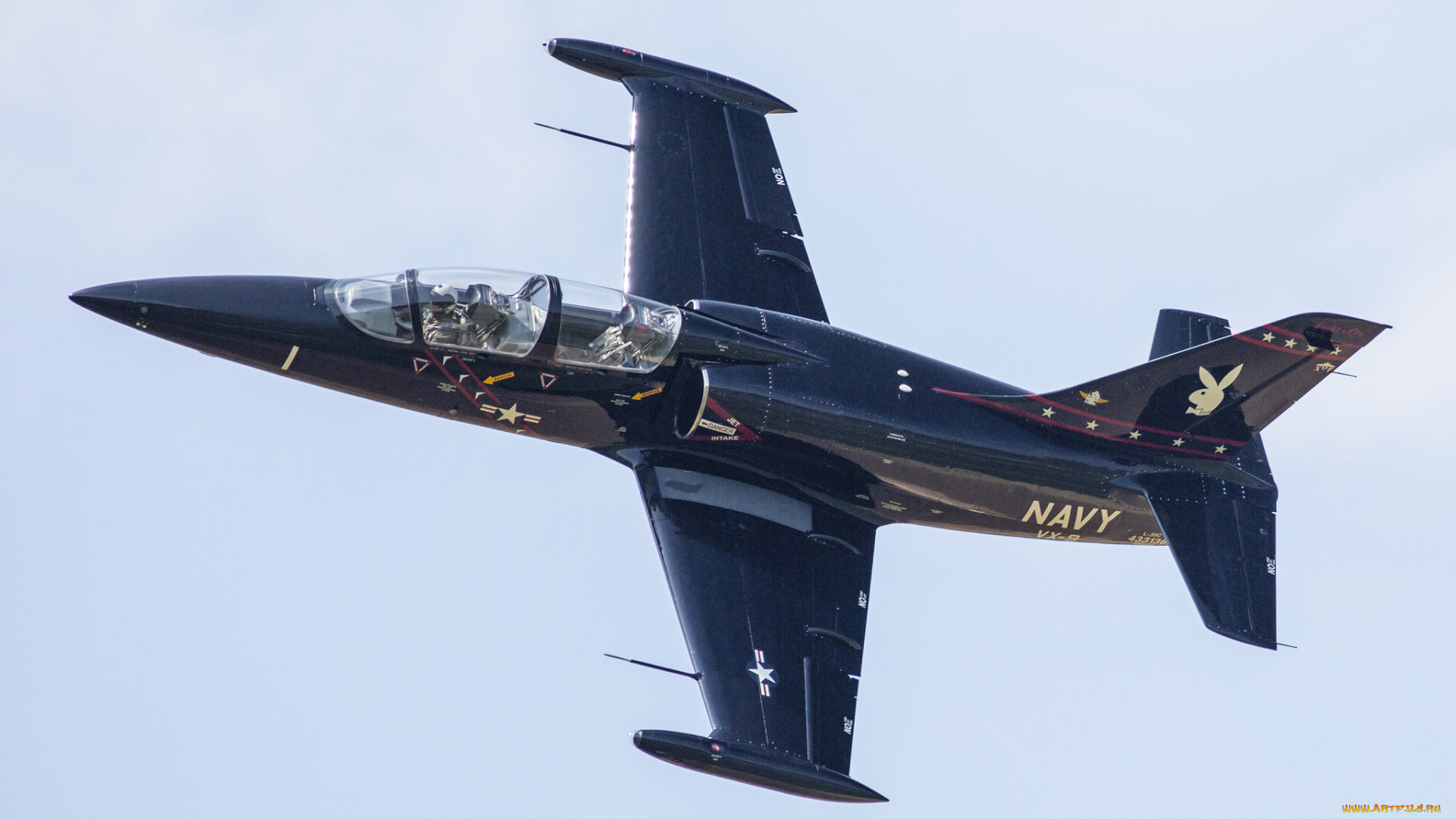 l-39, авиация, боевые, самолёты, ввс