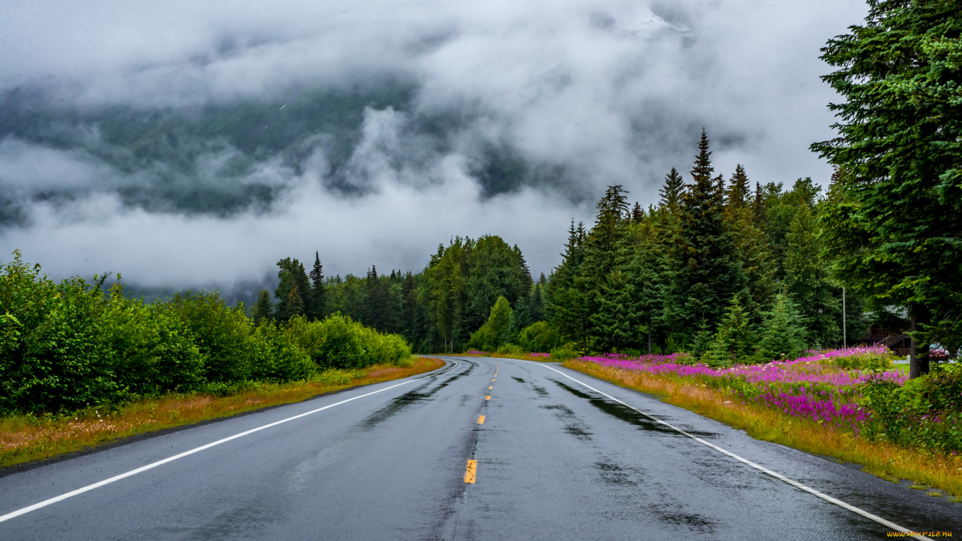 природа, дороги, простор