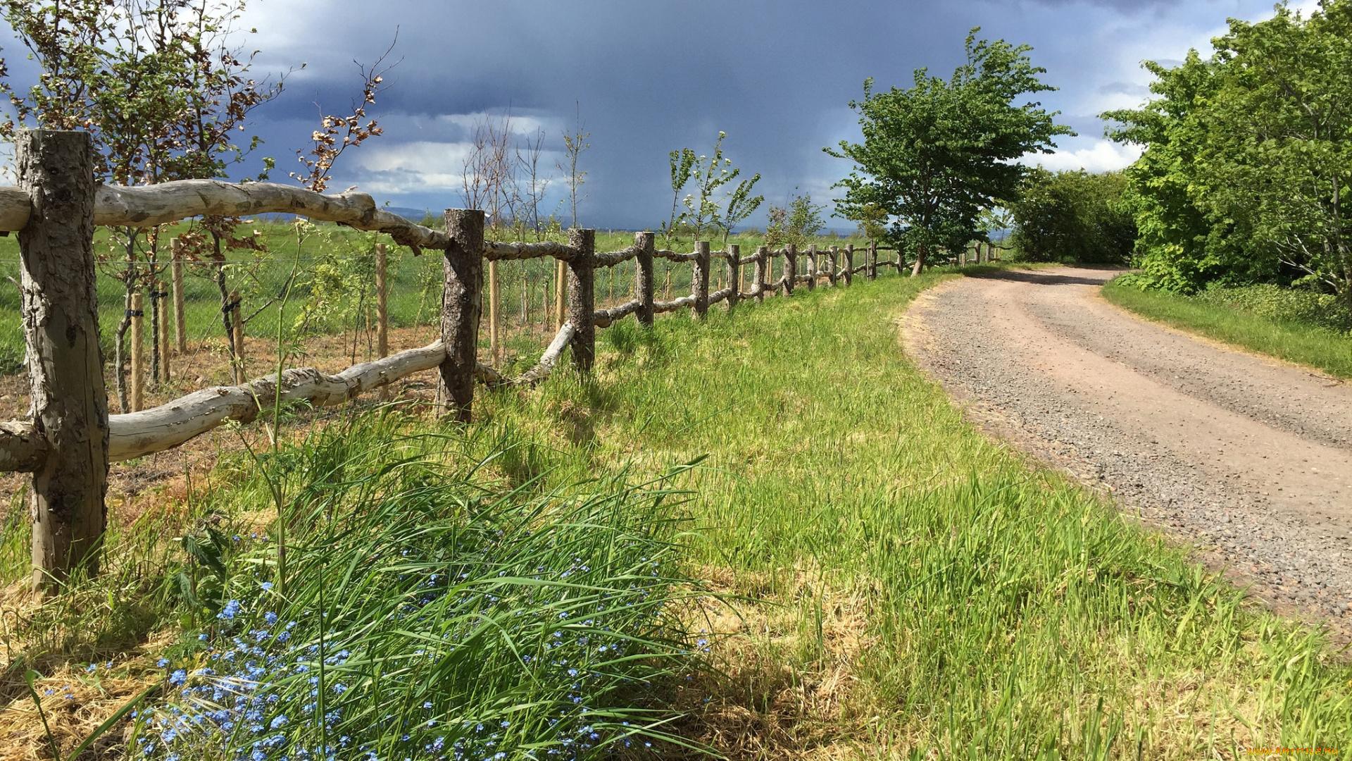 природа, дороги, простор