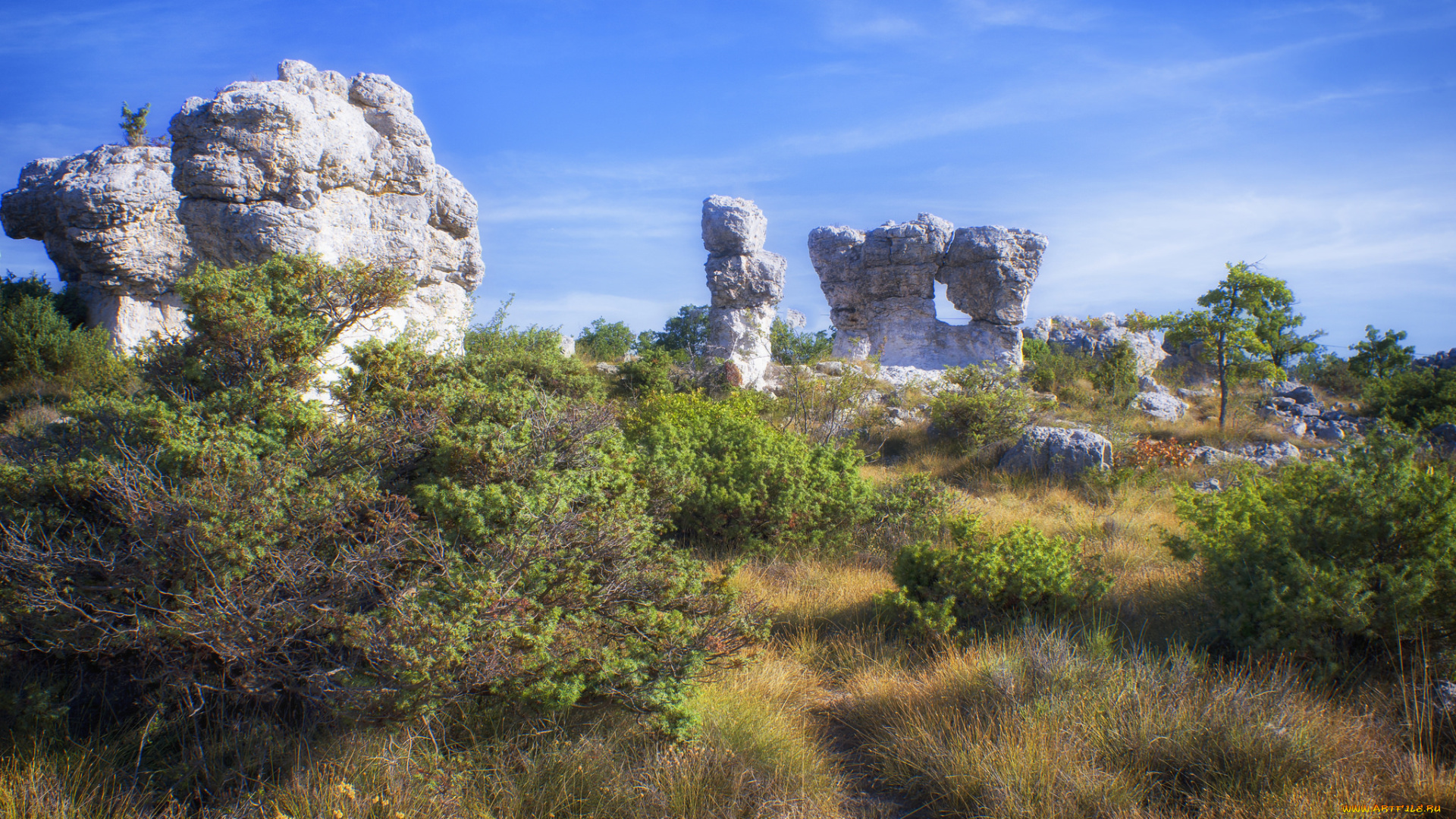 природа, пейзажи, простор