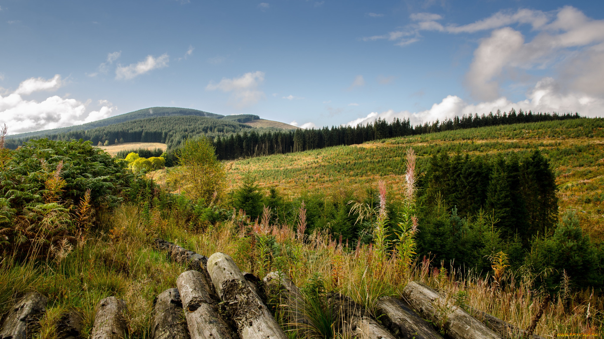 природа, пейзажи, простор