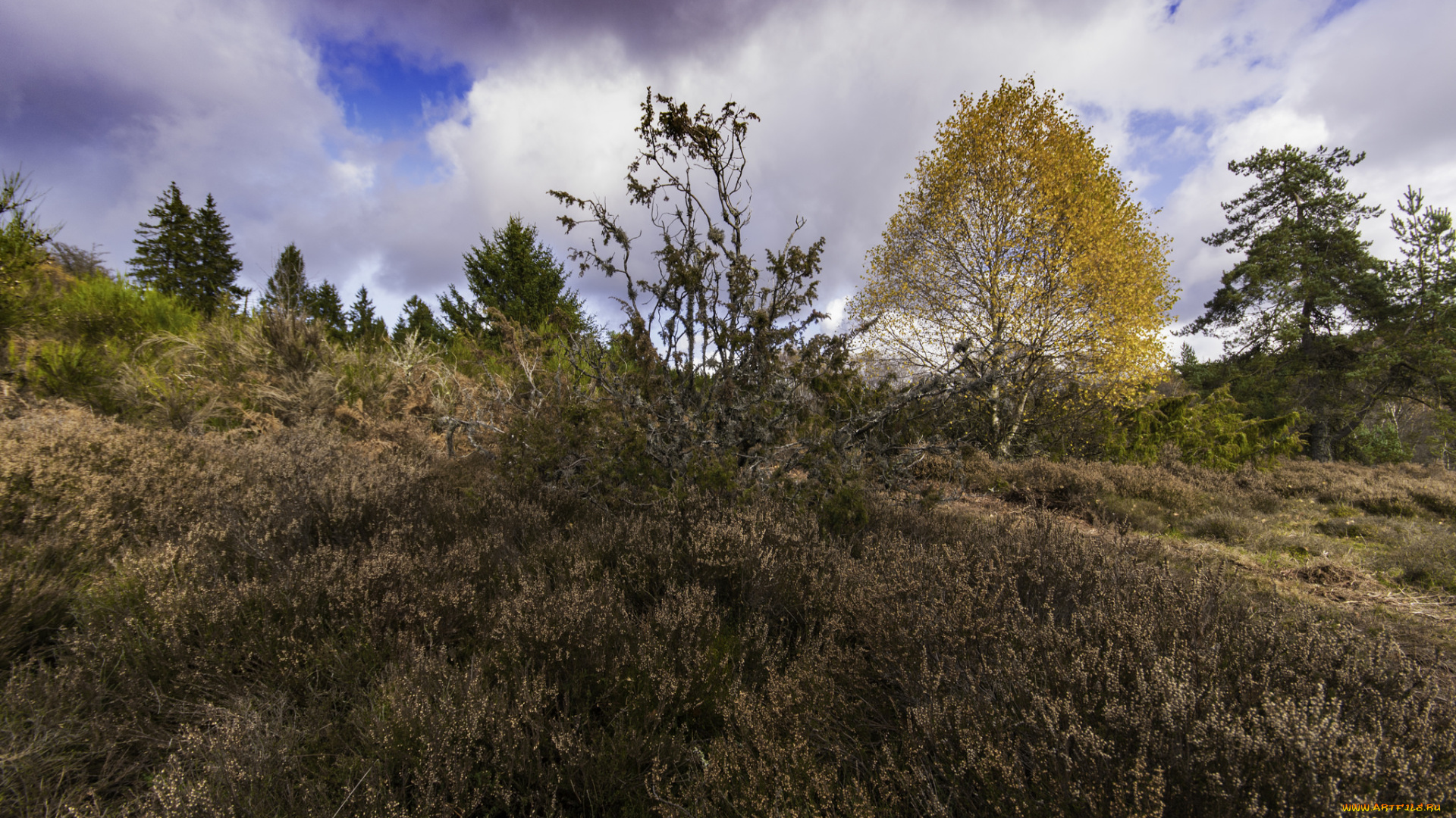 природа, пейзажи, простор