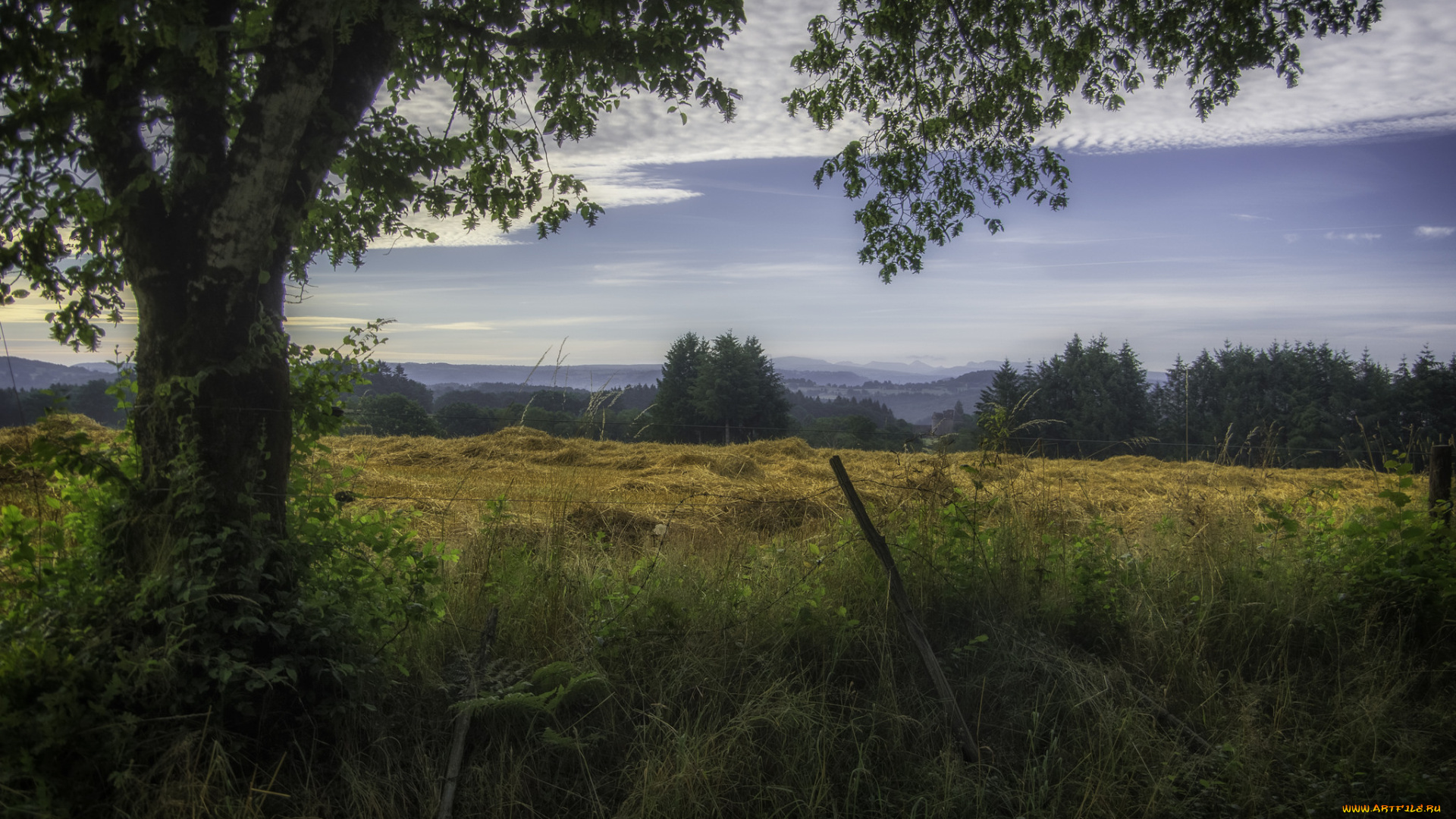 природа, пейзажи, простор