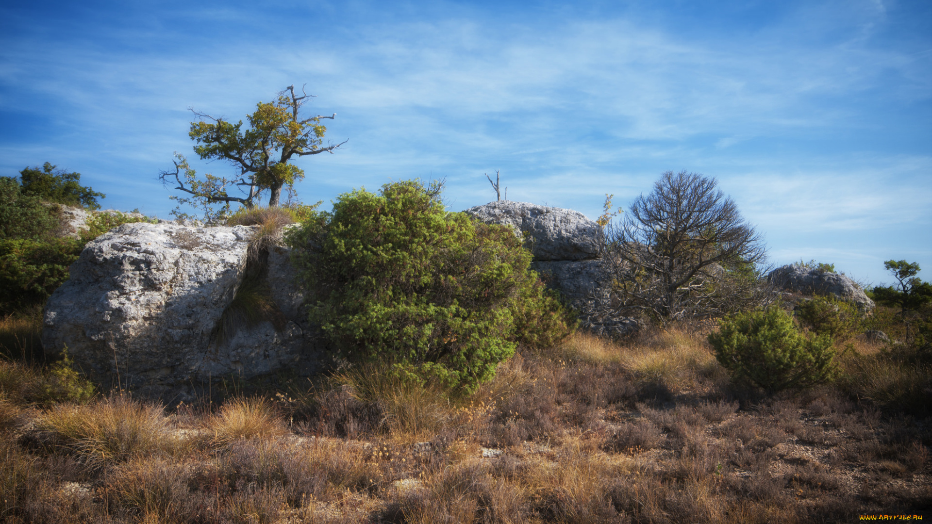 природа, пустыни, простор