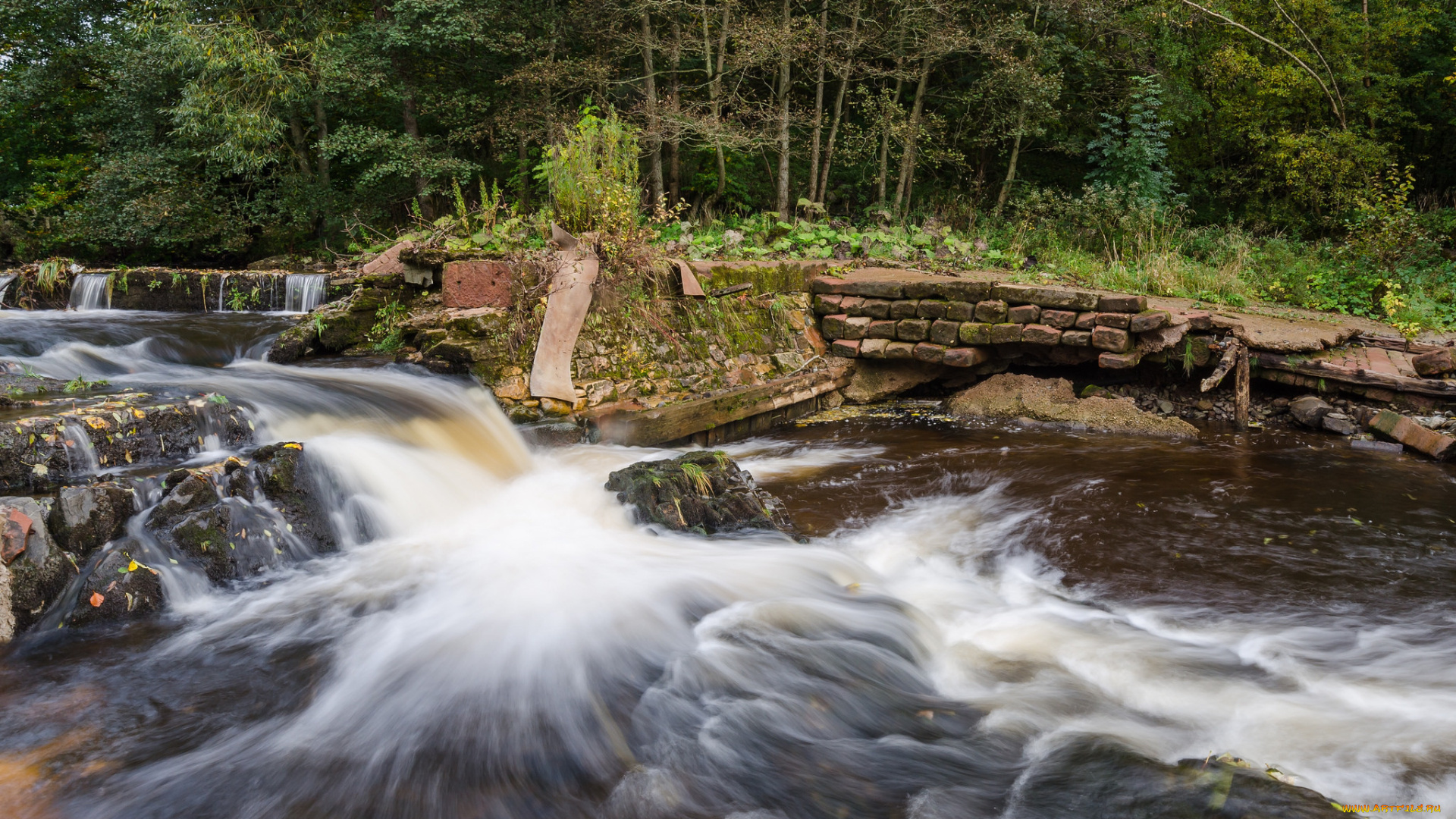 природа, реки, озера, простор