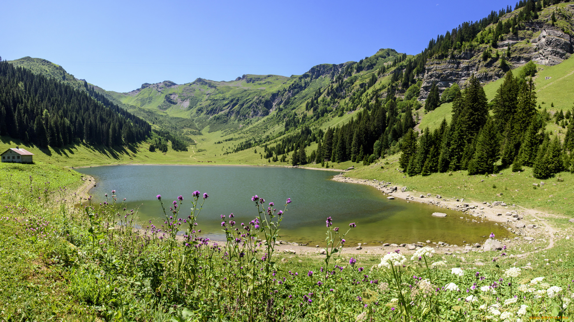 природа, реки, озера, простор