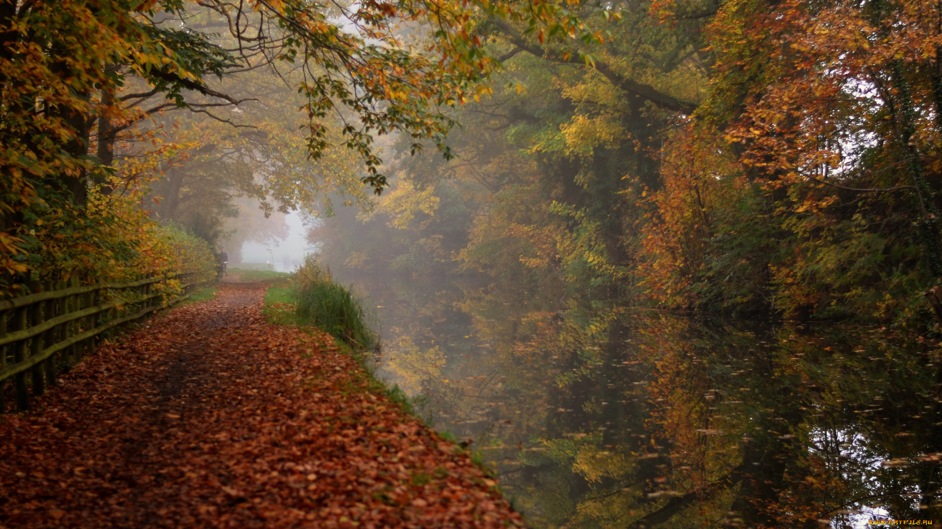 природа, реки, озера, простор