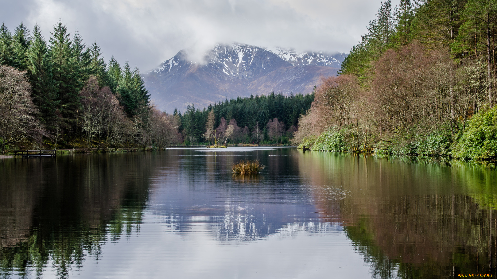 природа, реки, озера, простор