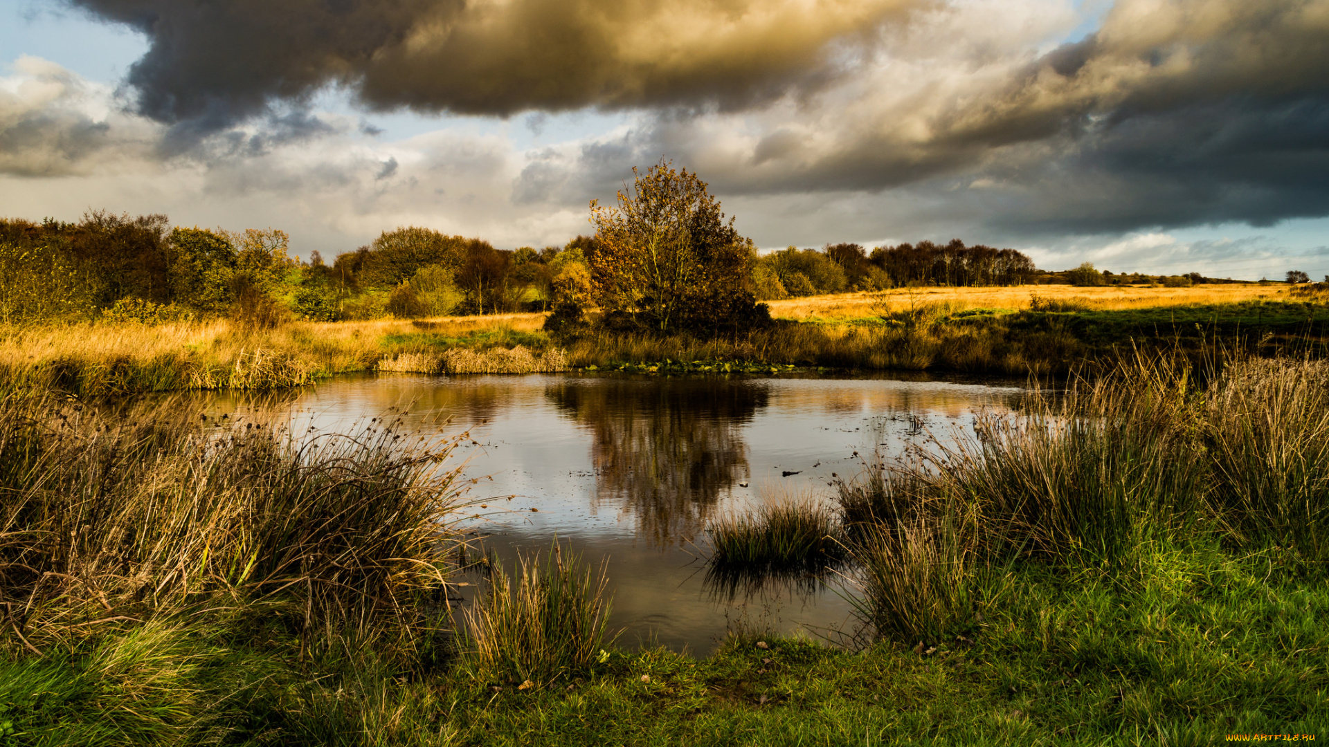 природа, реки, озера, простор