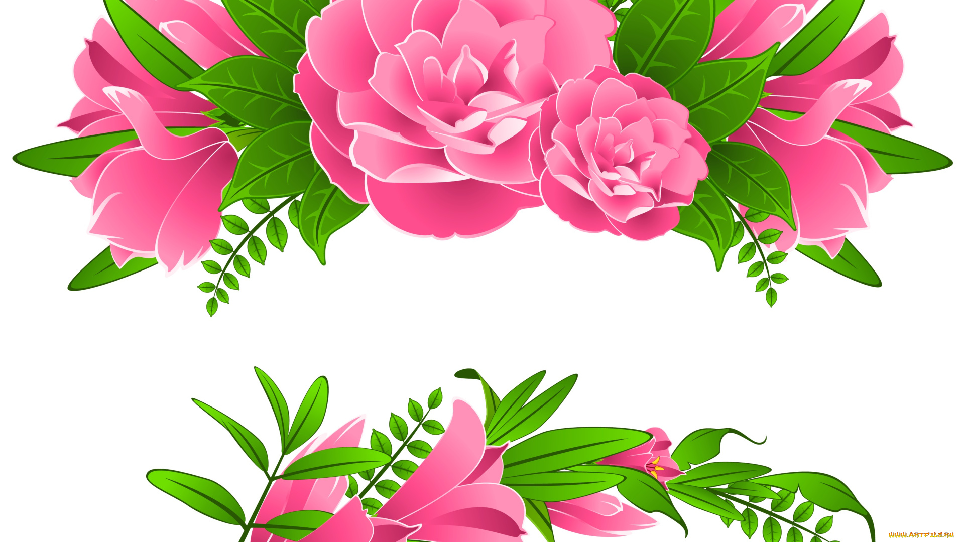 векторная, графика, цветы, , flowers, цветы, фон