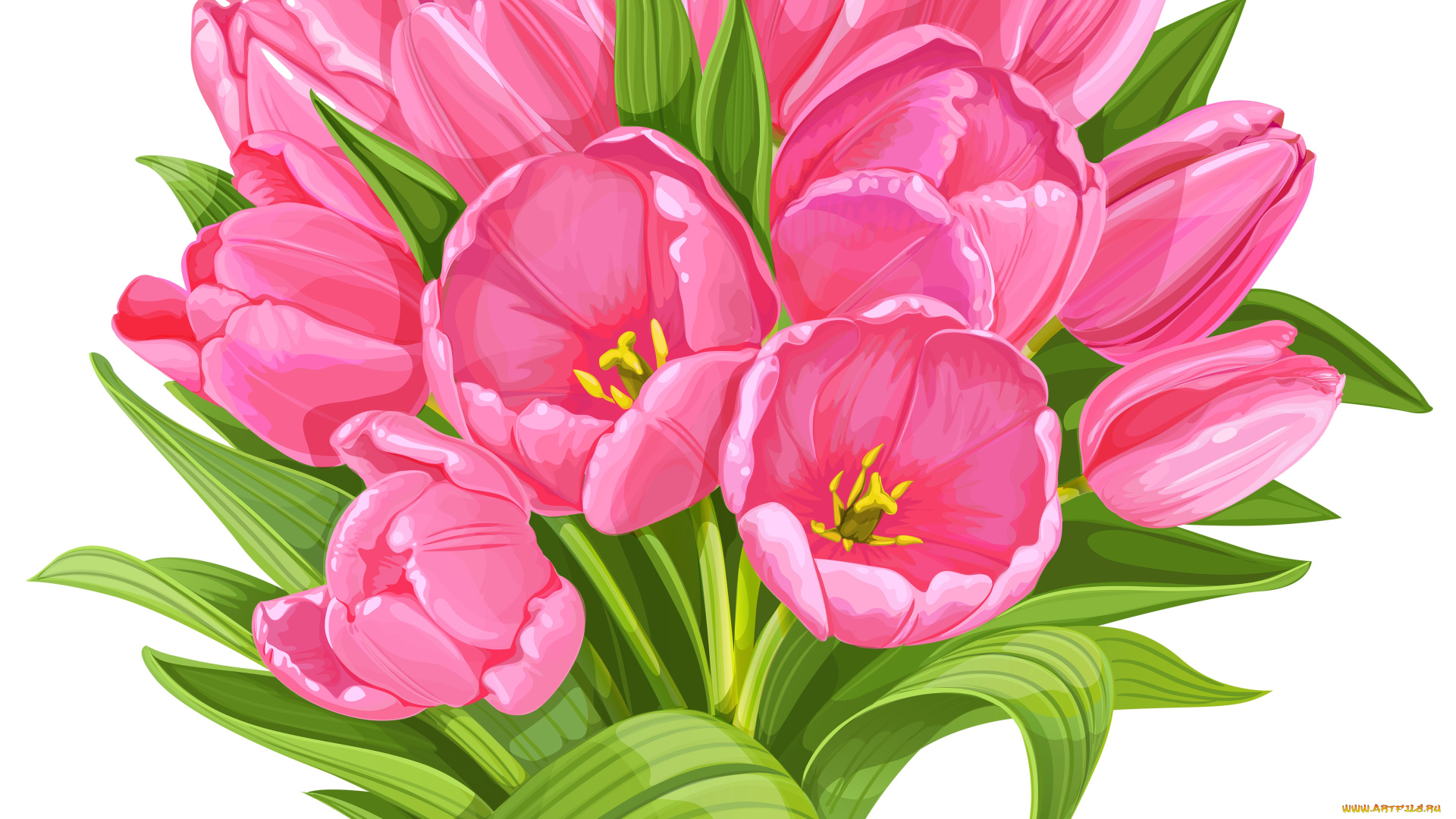 векторная, графика, цветы, , flowers, фон, цветы