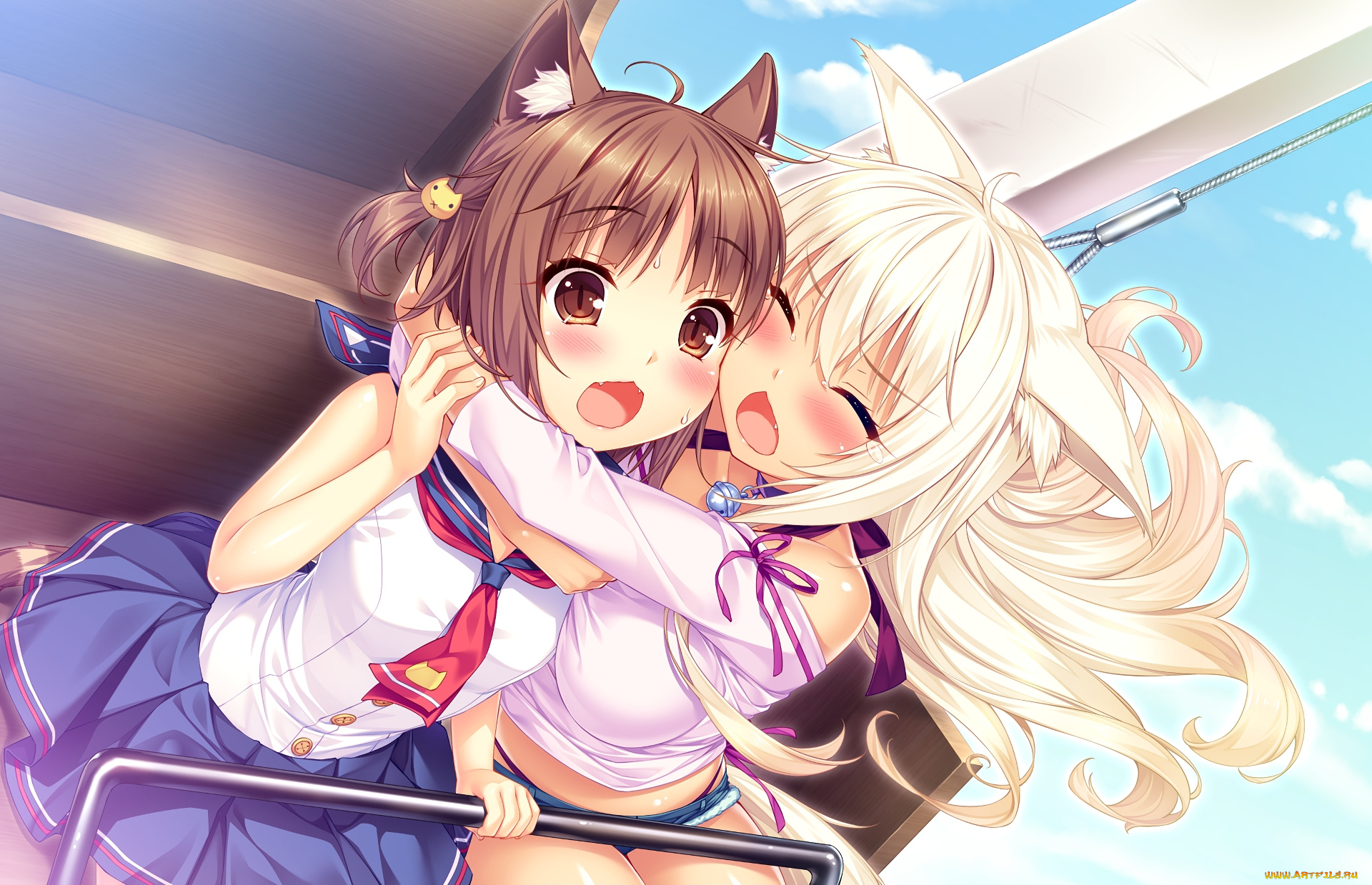 аниме, nekopara, нэкопара