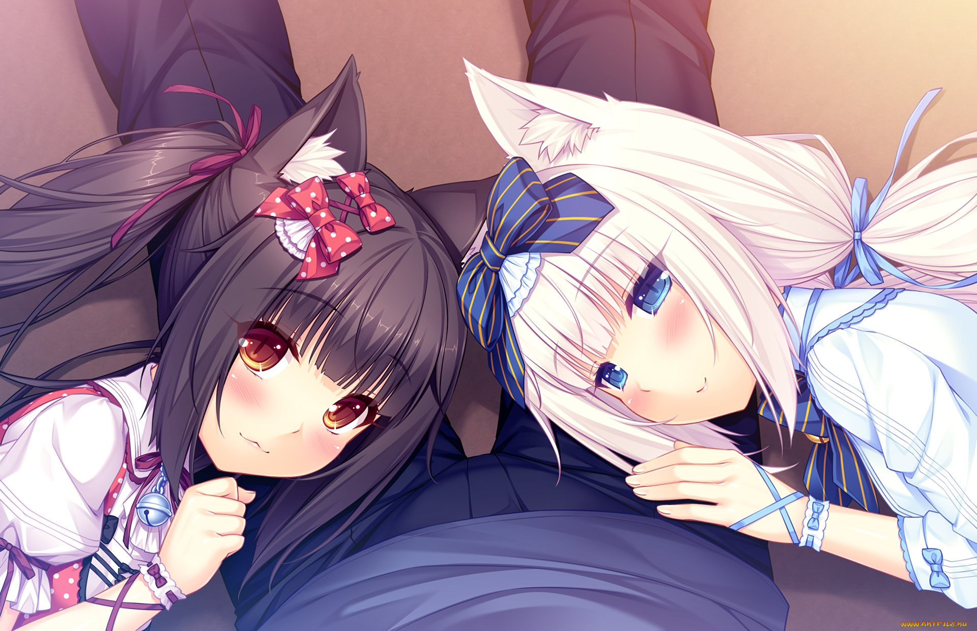 аниме, nekopara, нэкопара