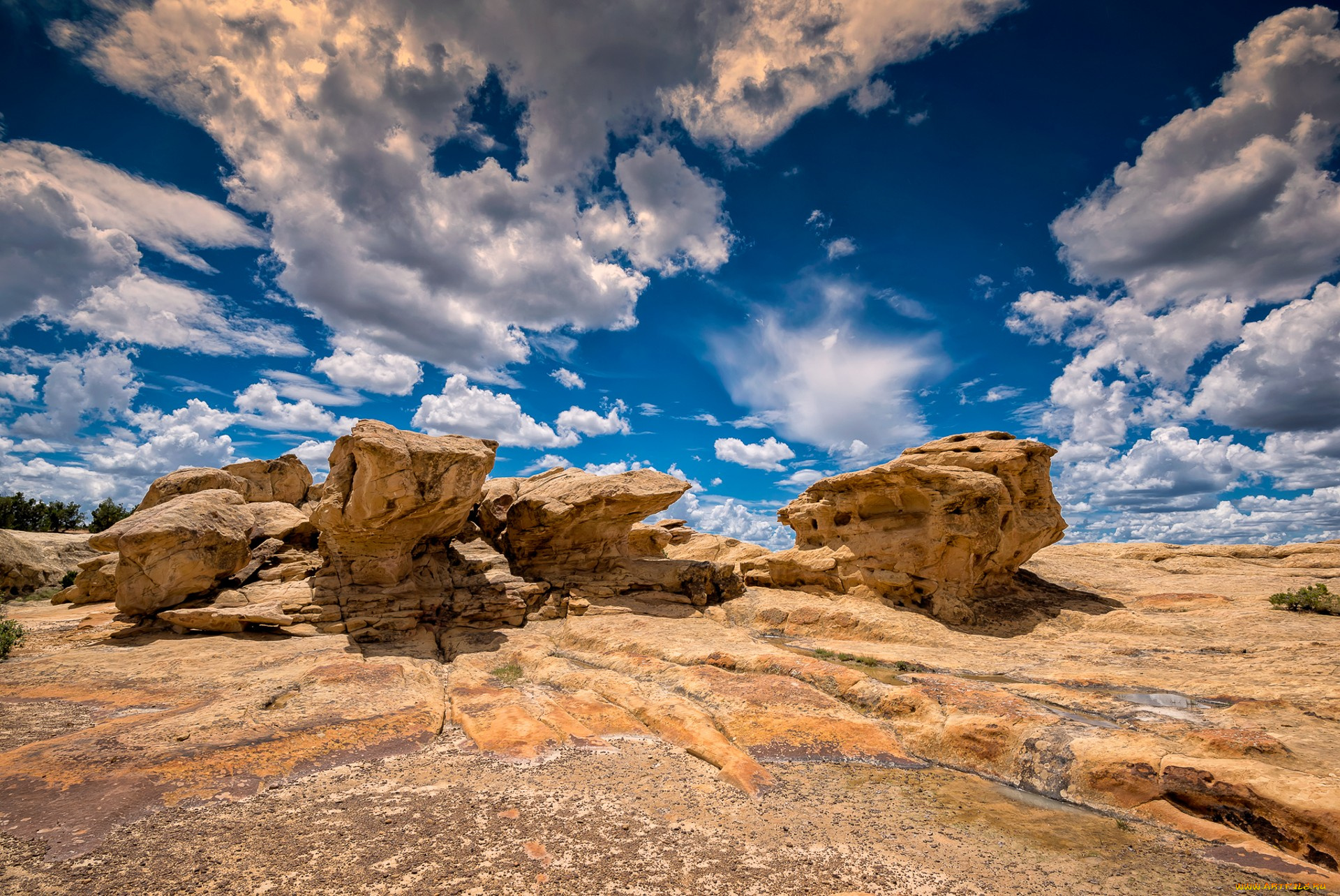 природа, пустыни, простор