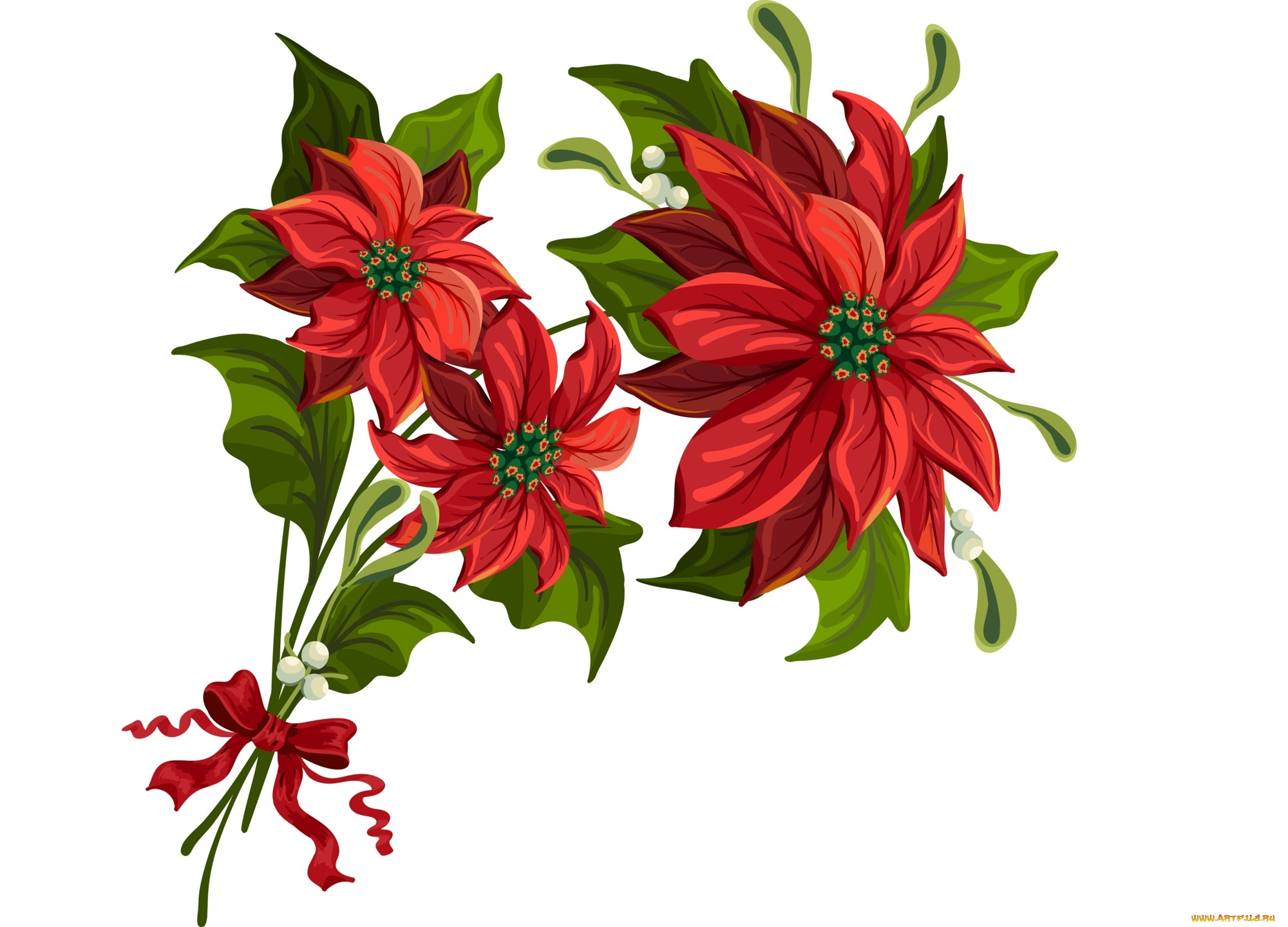 векторная, графика, цветы, , flowers, цветы, фон