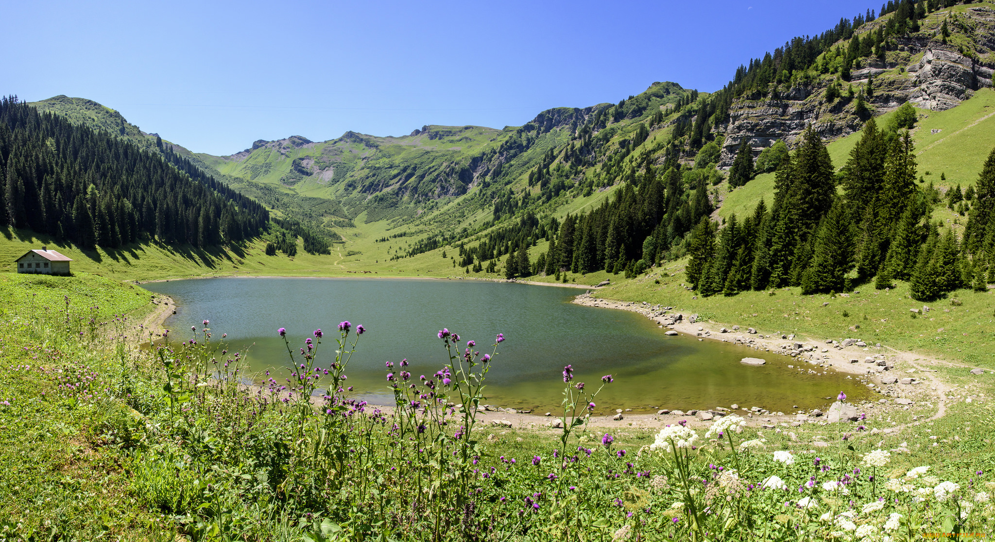 природа, реки, озера, простор