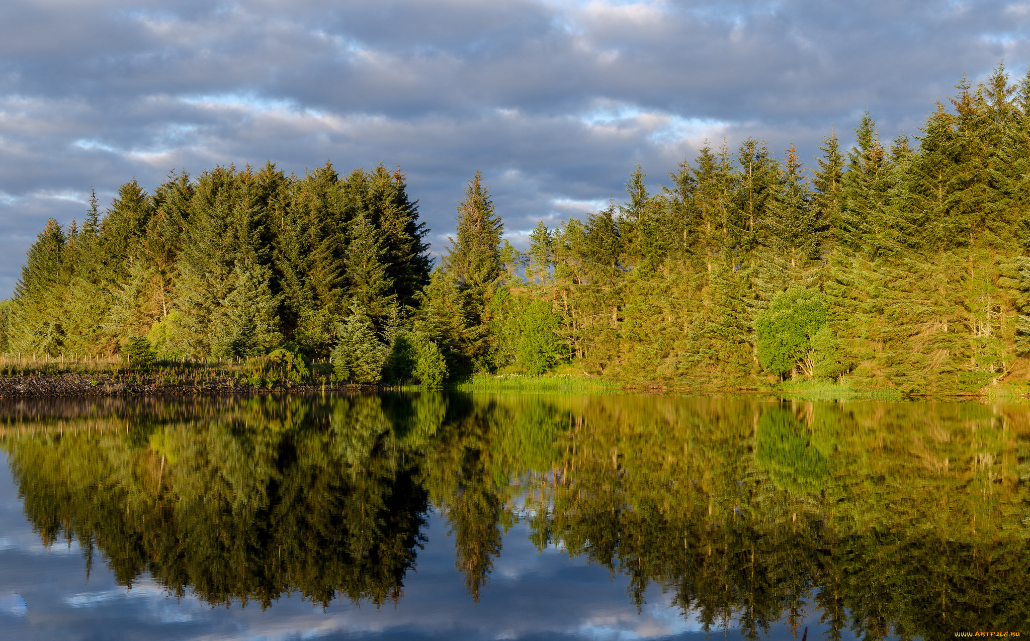 природа, реки, озера, простор