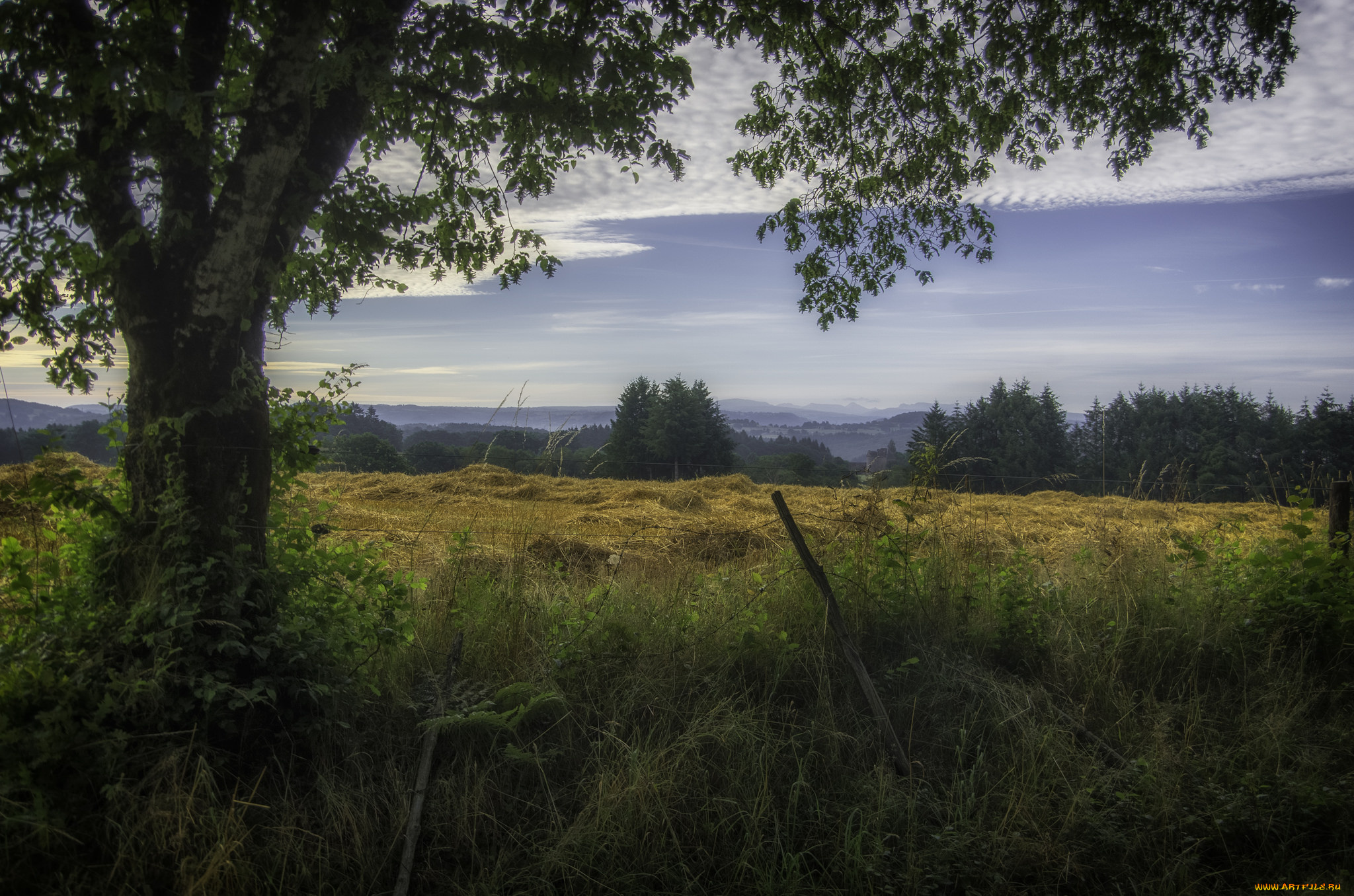 природа, пейзажи, простор