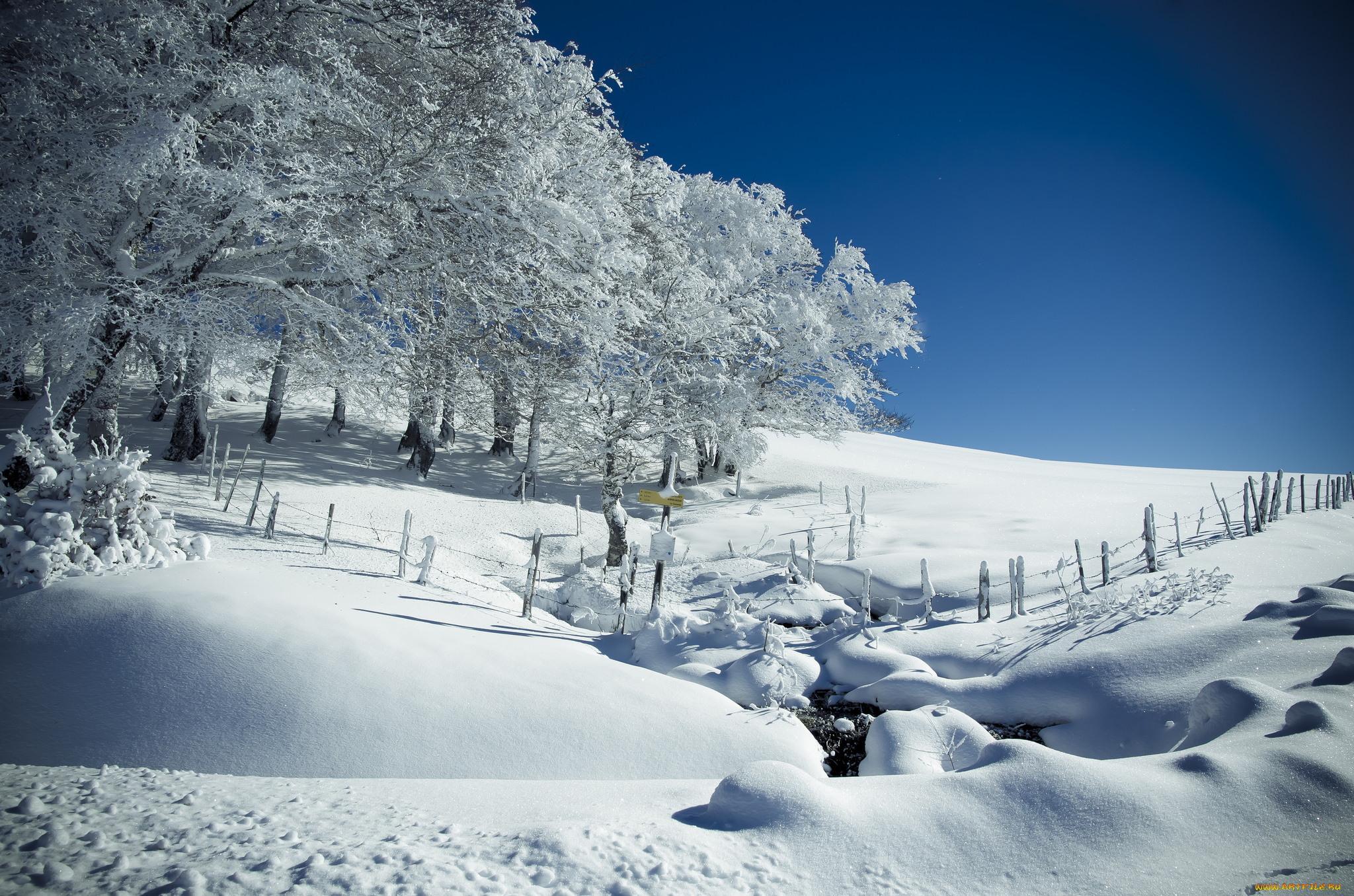 природа, зима, простор