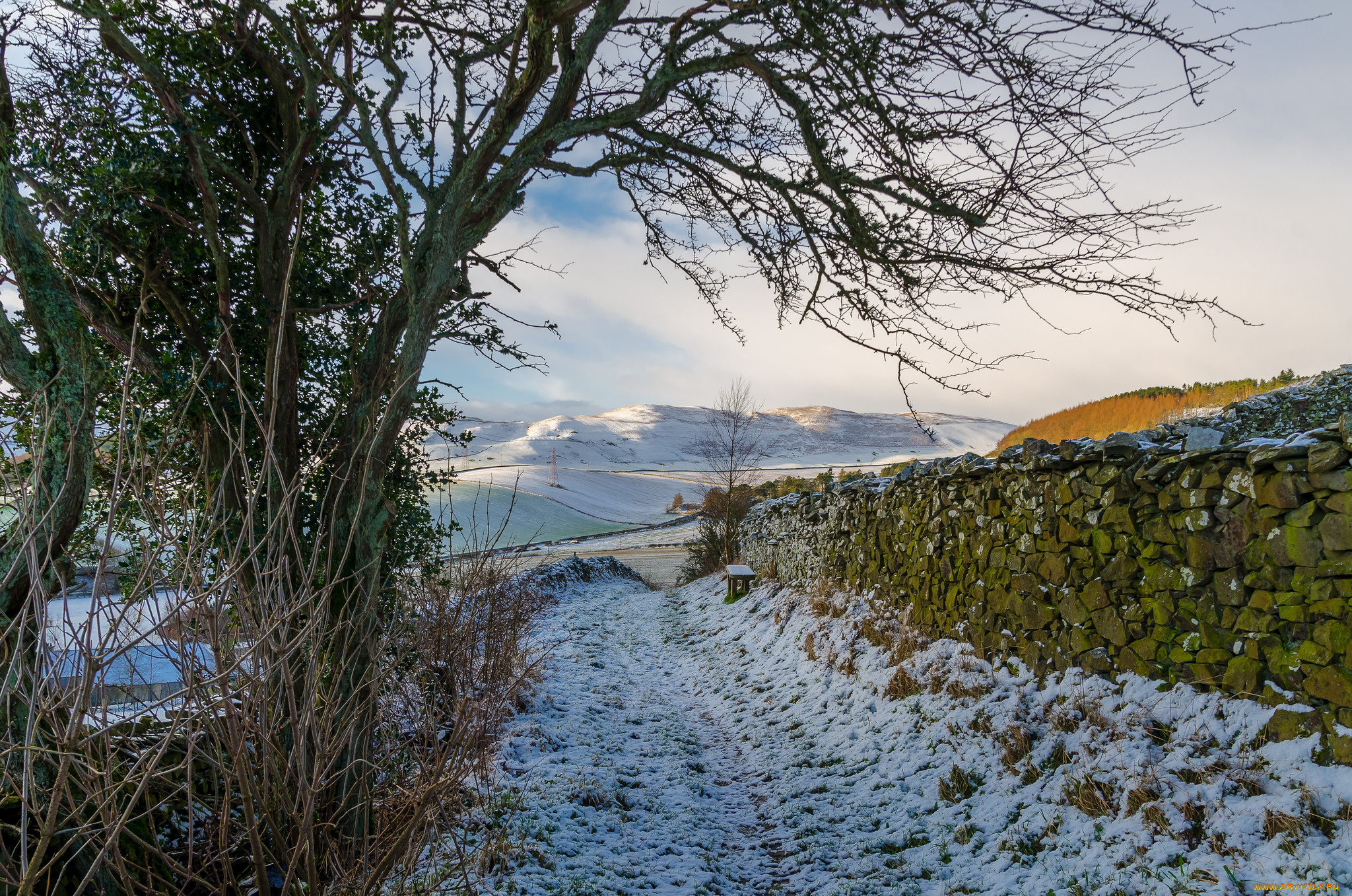 природа, дороги, простор