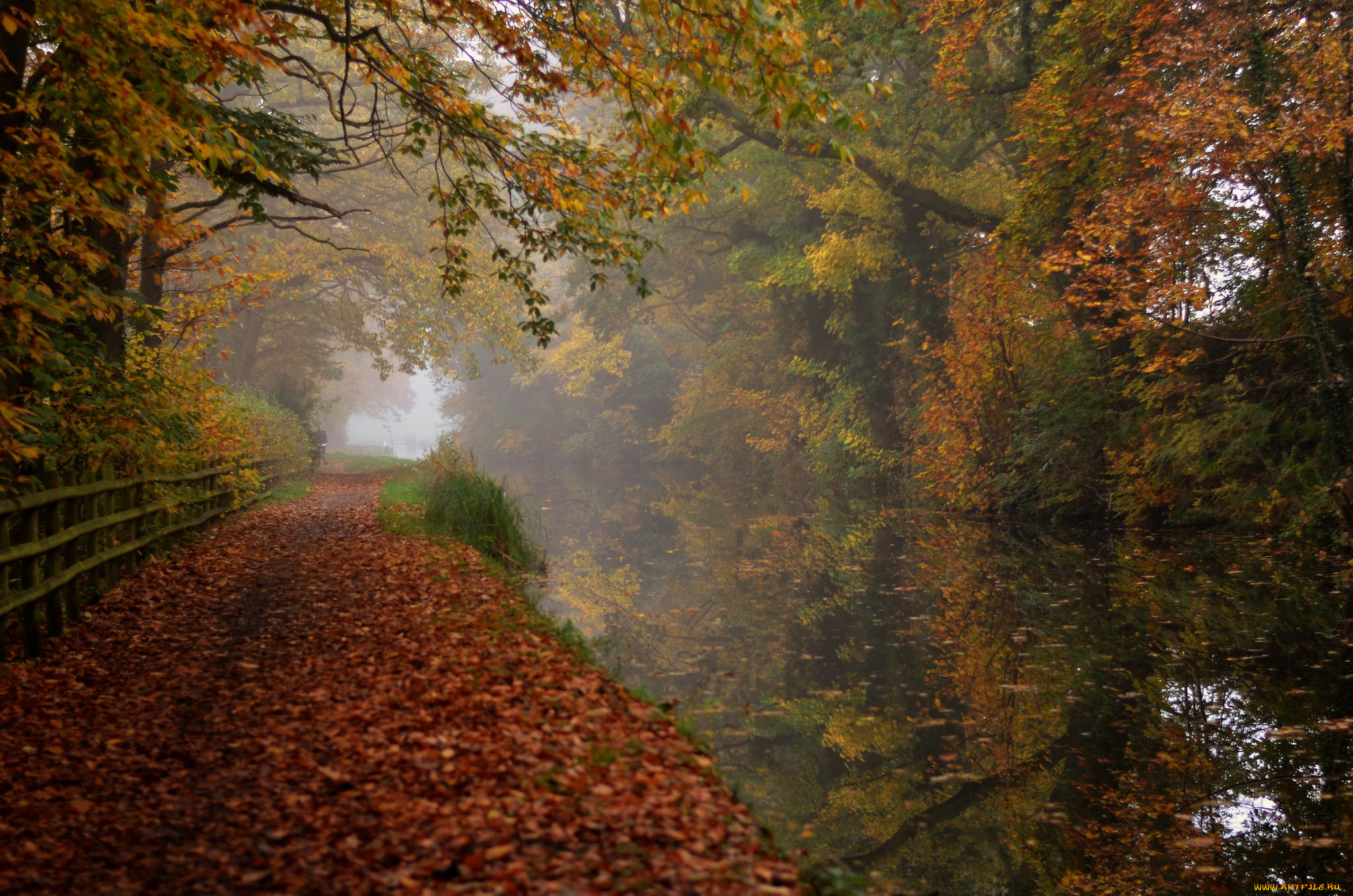 природа, реки, озера, простор