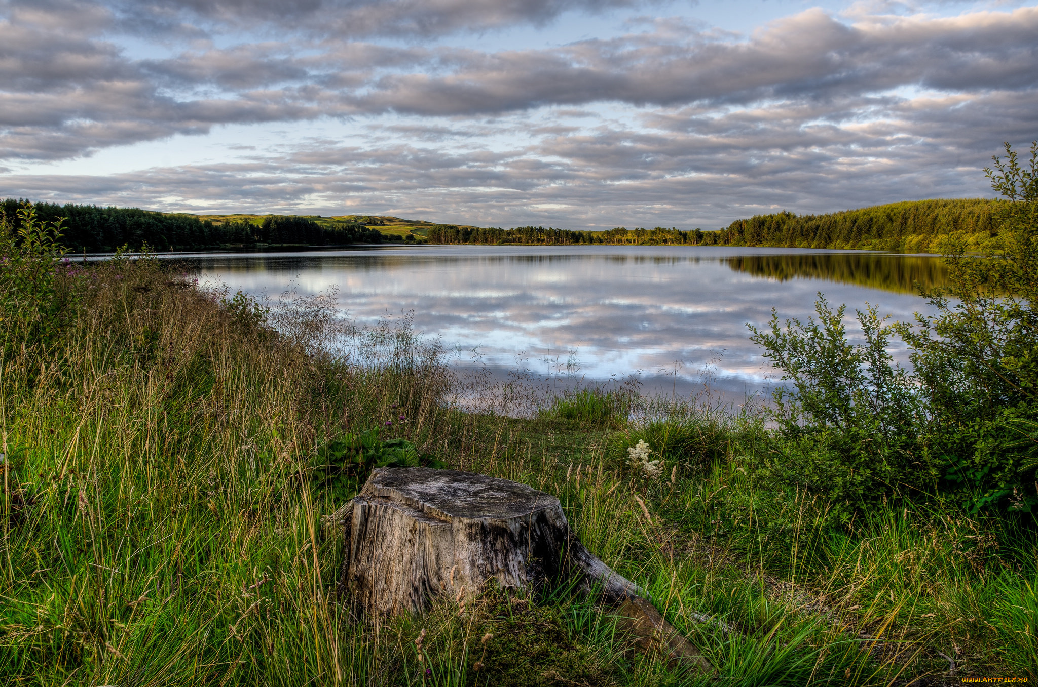 природа, реки, озера, простор