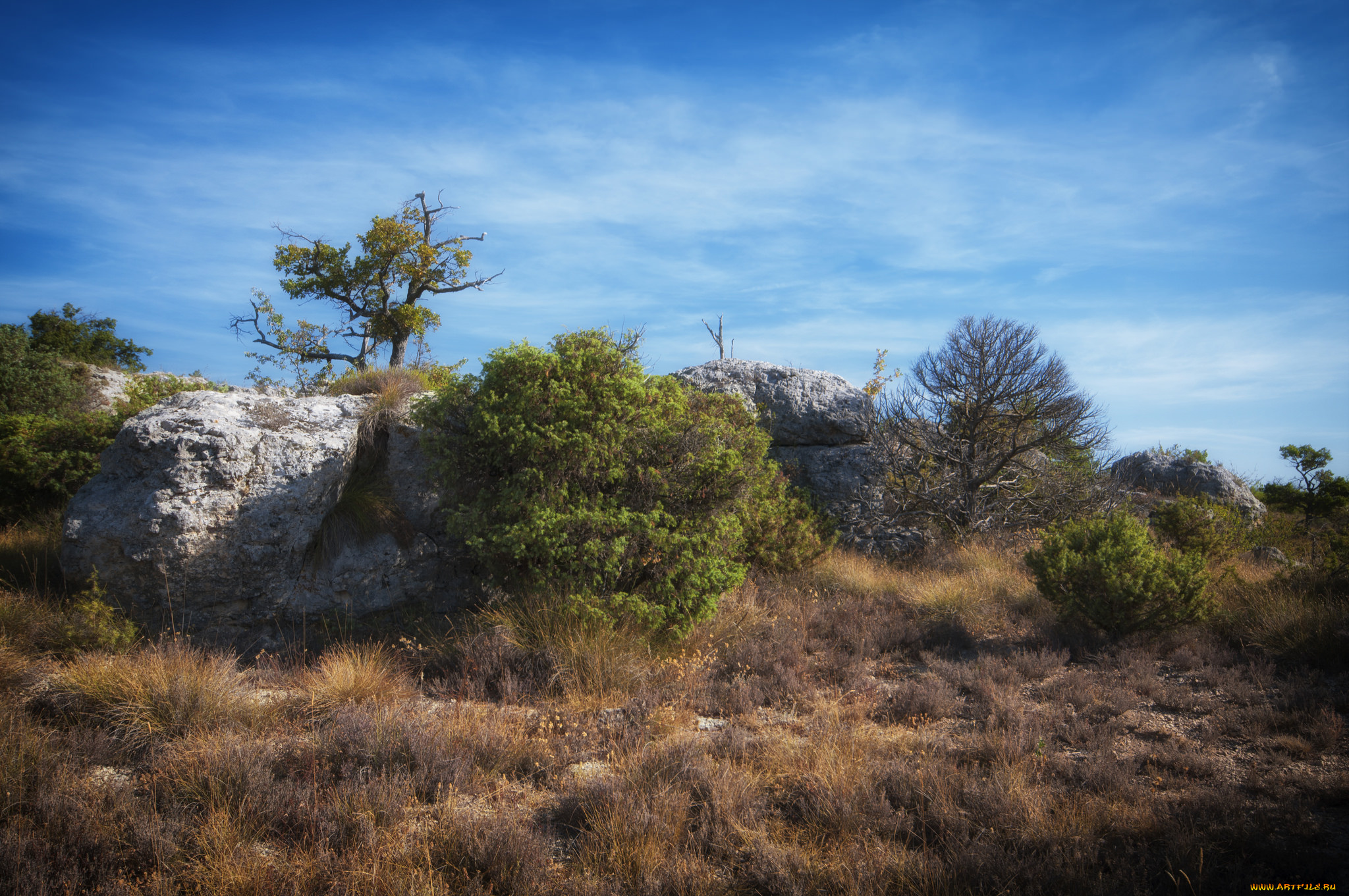 природа, пустыни, простор