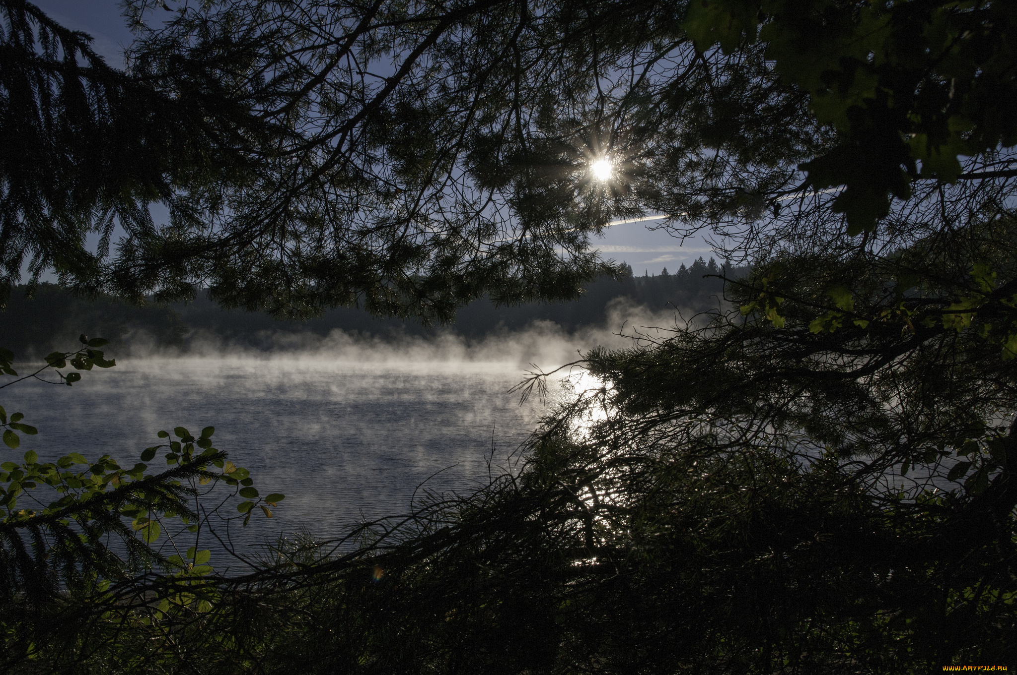 природа, реки, озера, простор