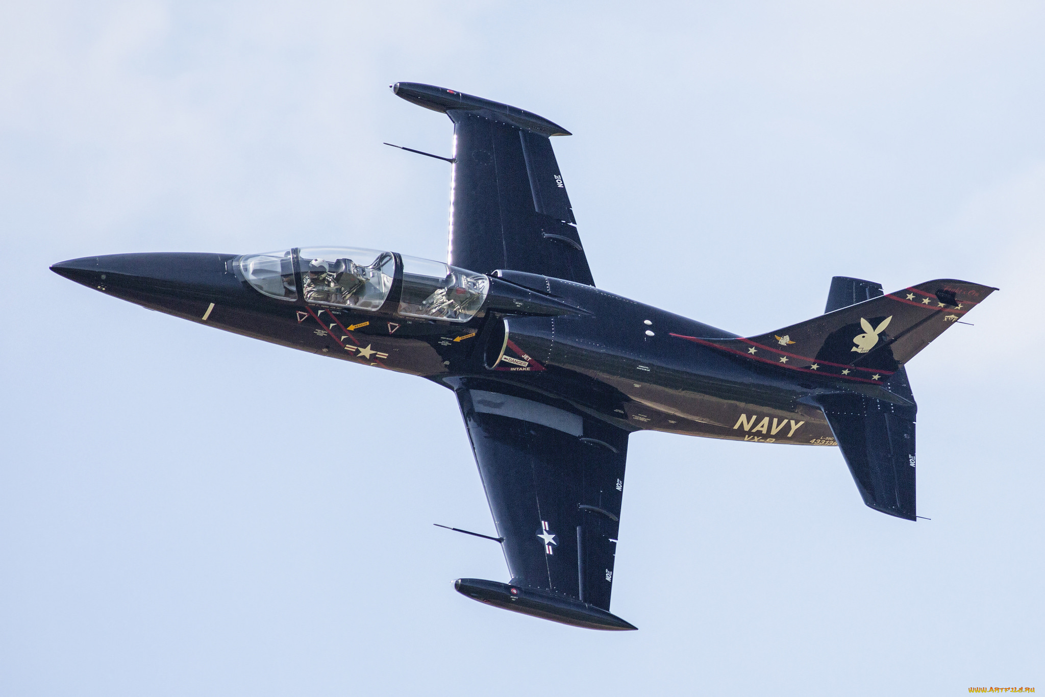 l-39, авиация, боевые, самолёты, ввс