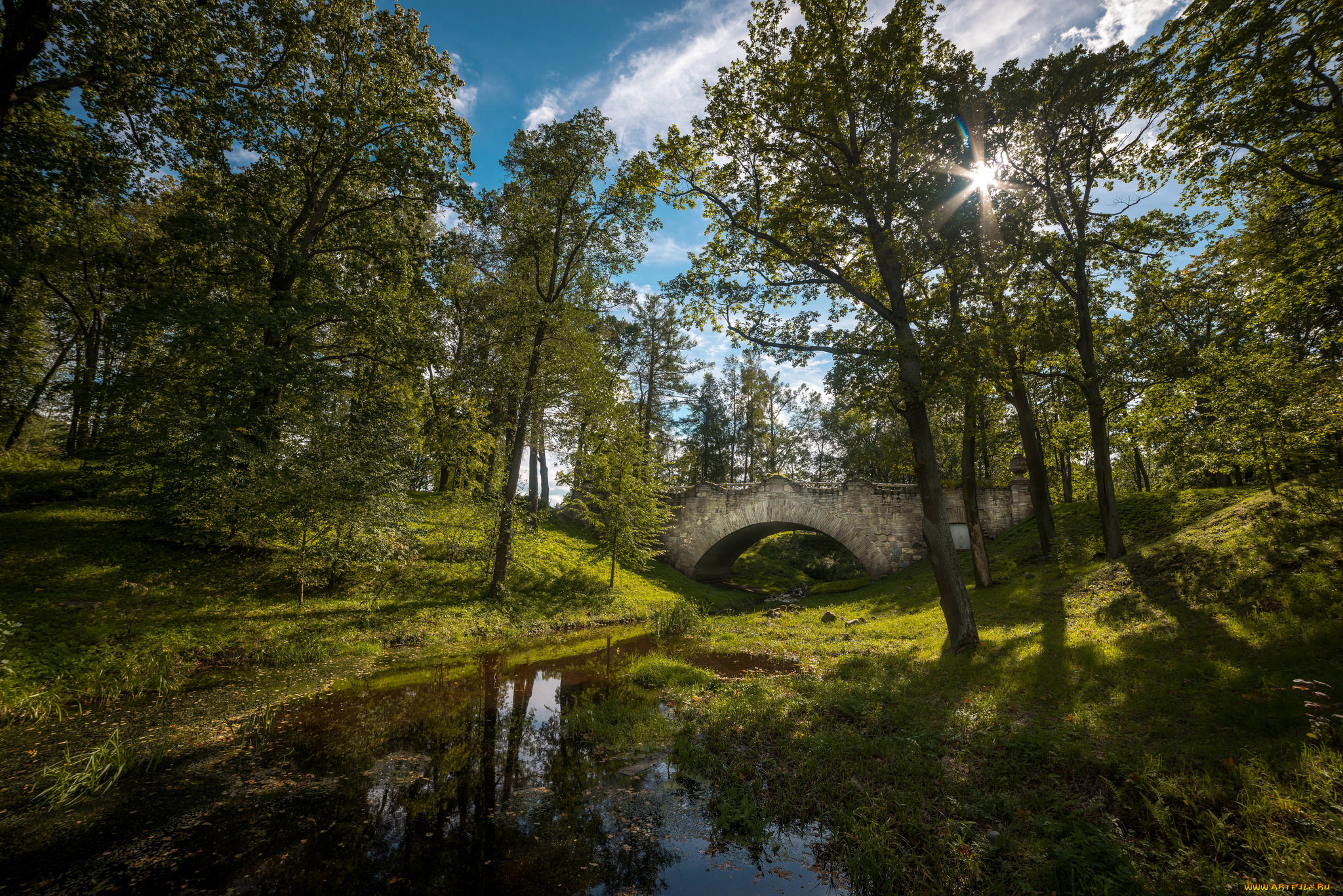 природа, реки, озера, простор