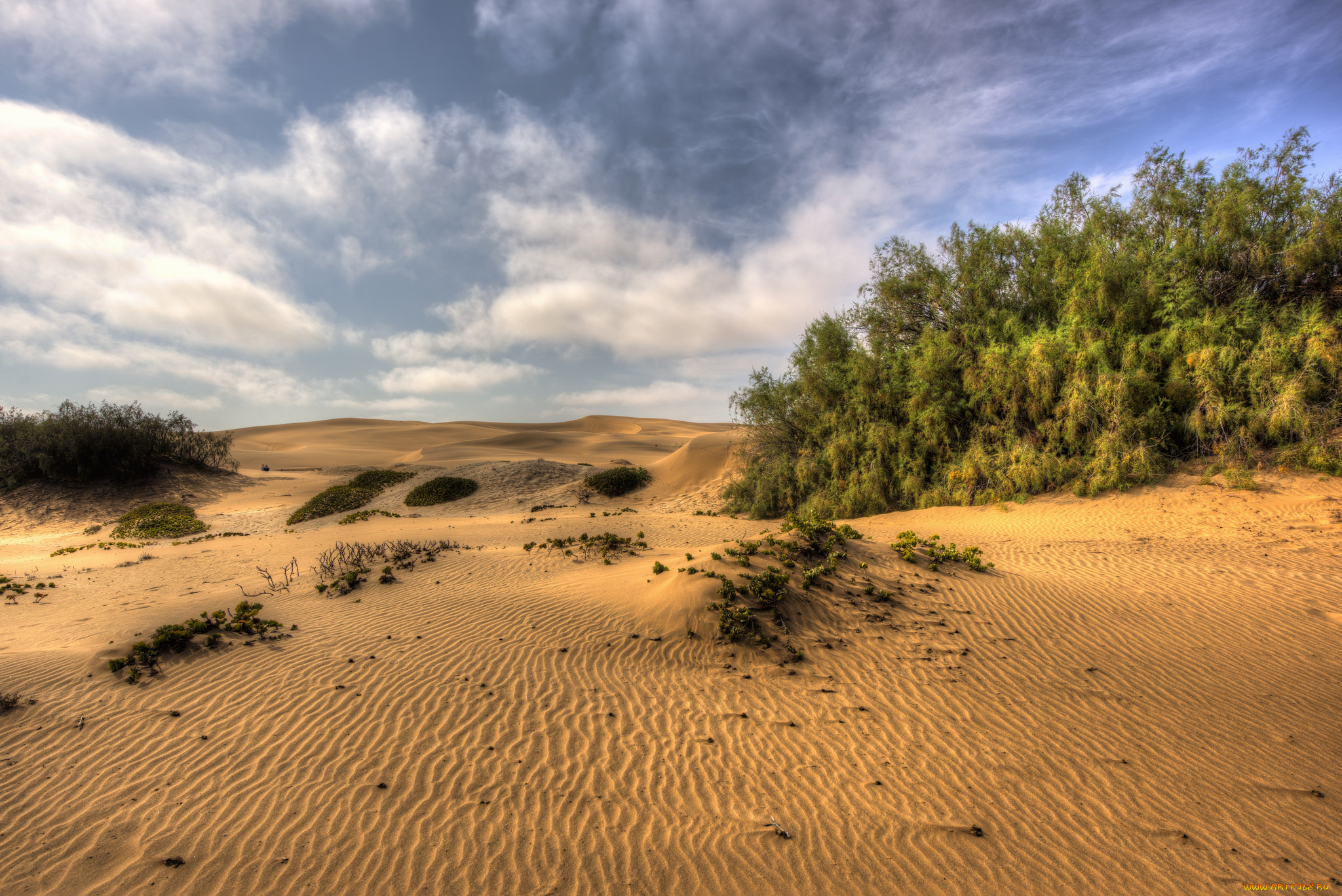 природа, пейзажи, простор