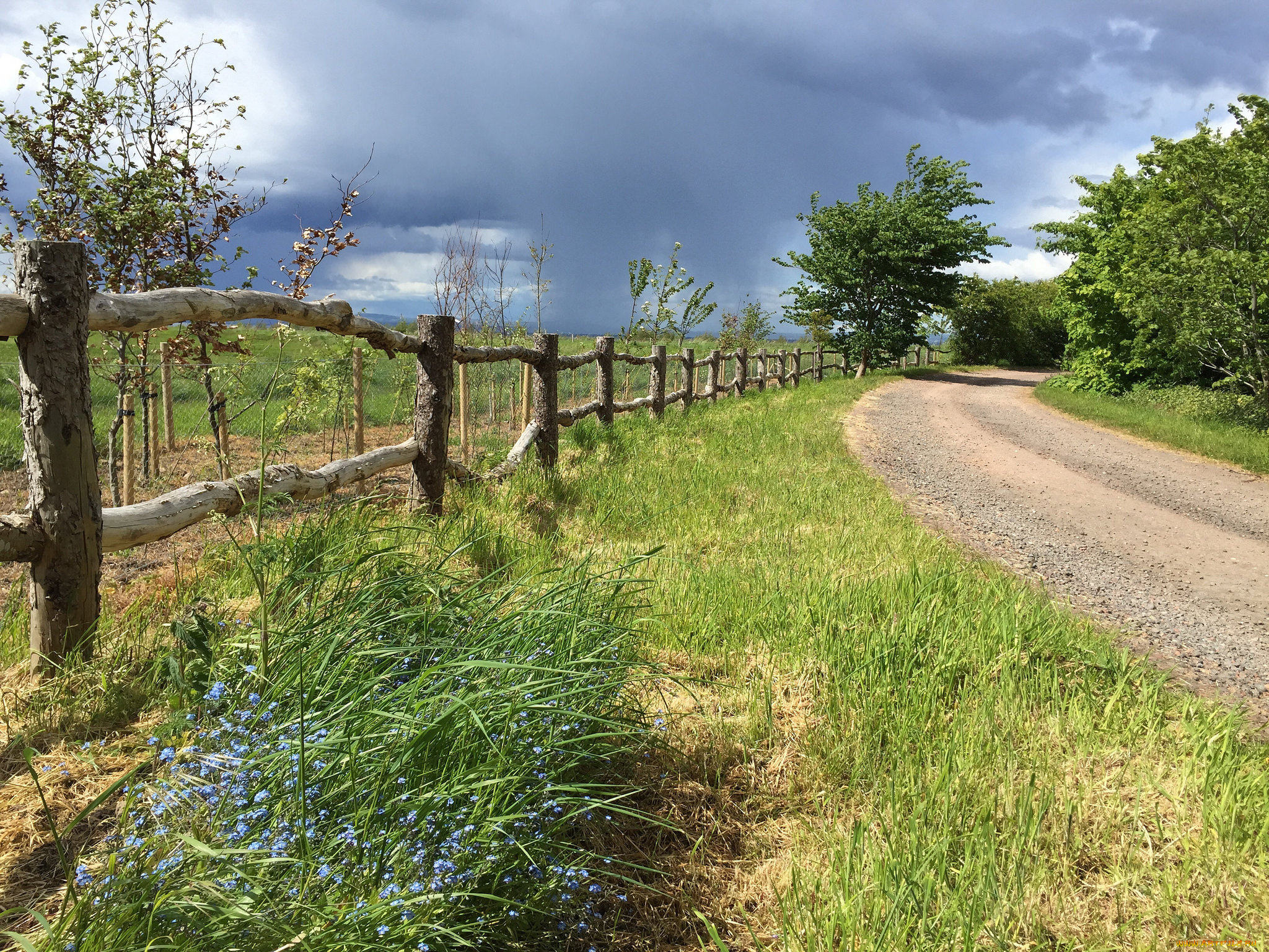 природа, дороги, простор