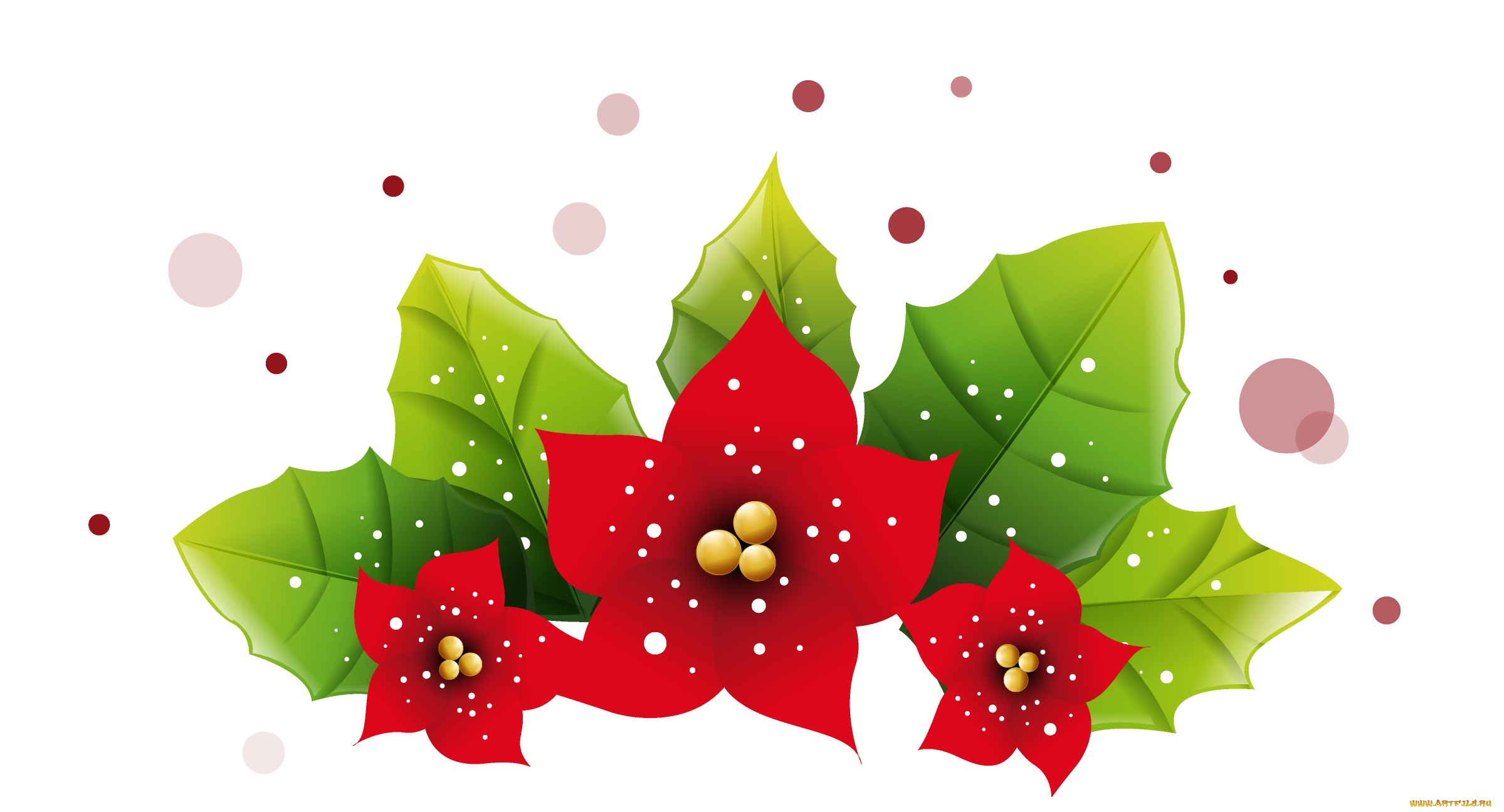 векторная, графика, цветы, , flowers, фон, лепестки