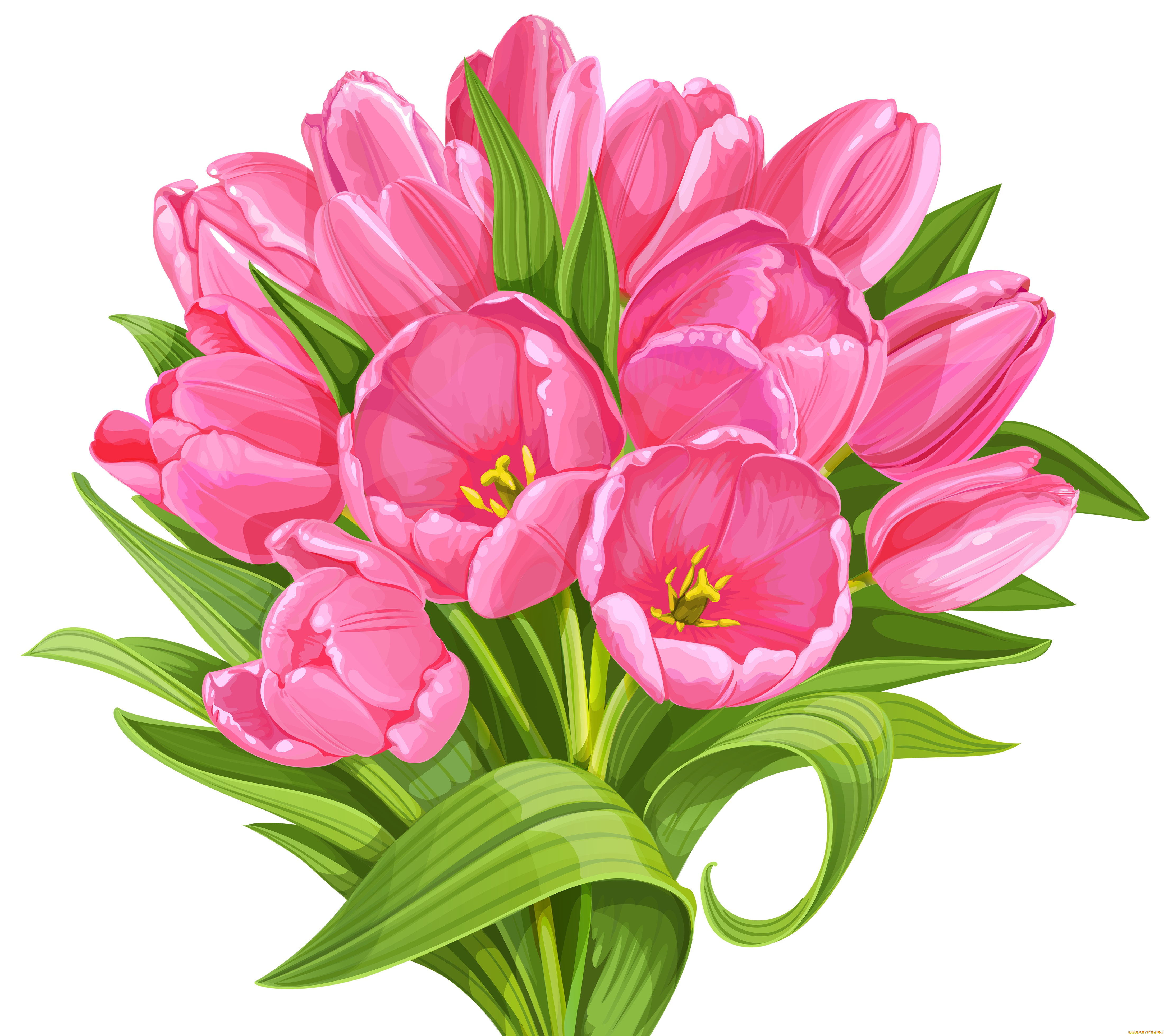 векторная, графика, цветы, , flowers, фон, цветы