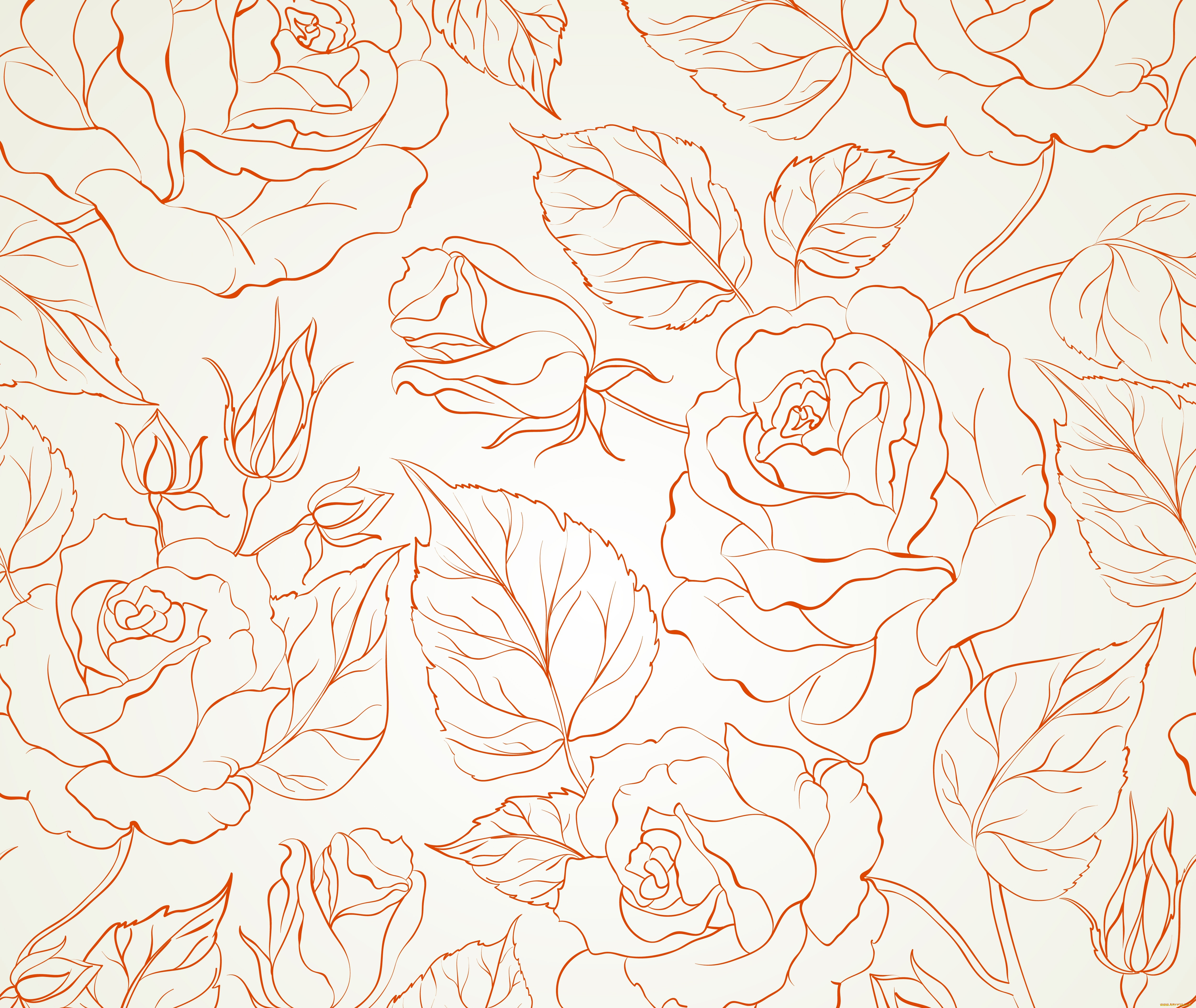 векторная, графика, цветы, , flowers, фон, цветы