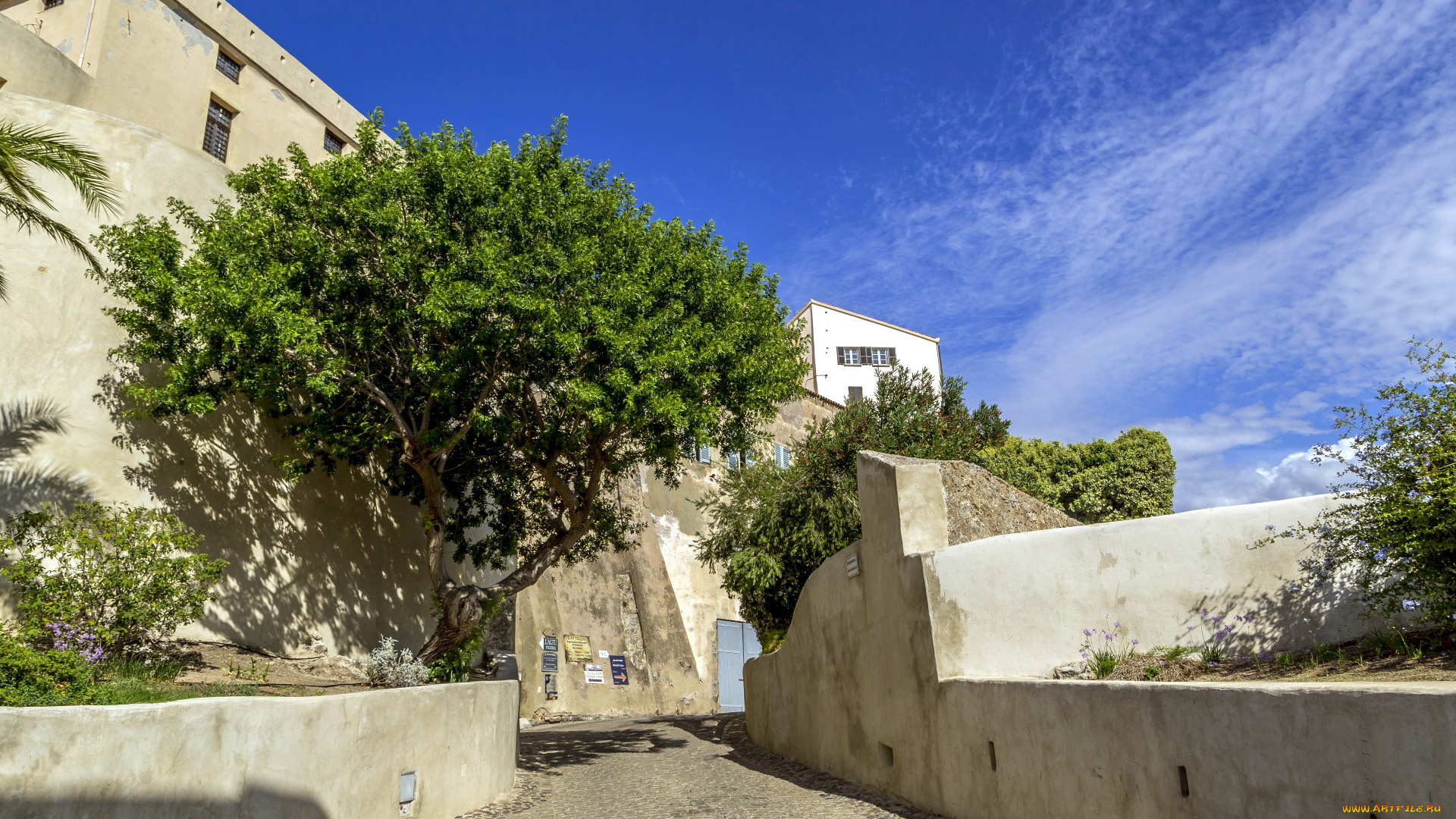 calvi, corsica, france, города, кальви, , франция
