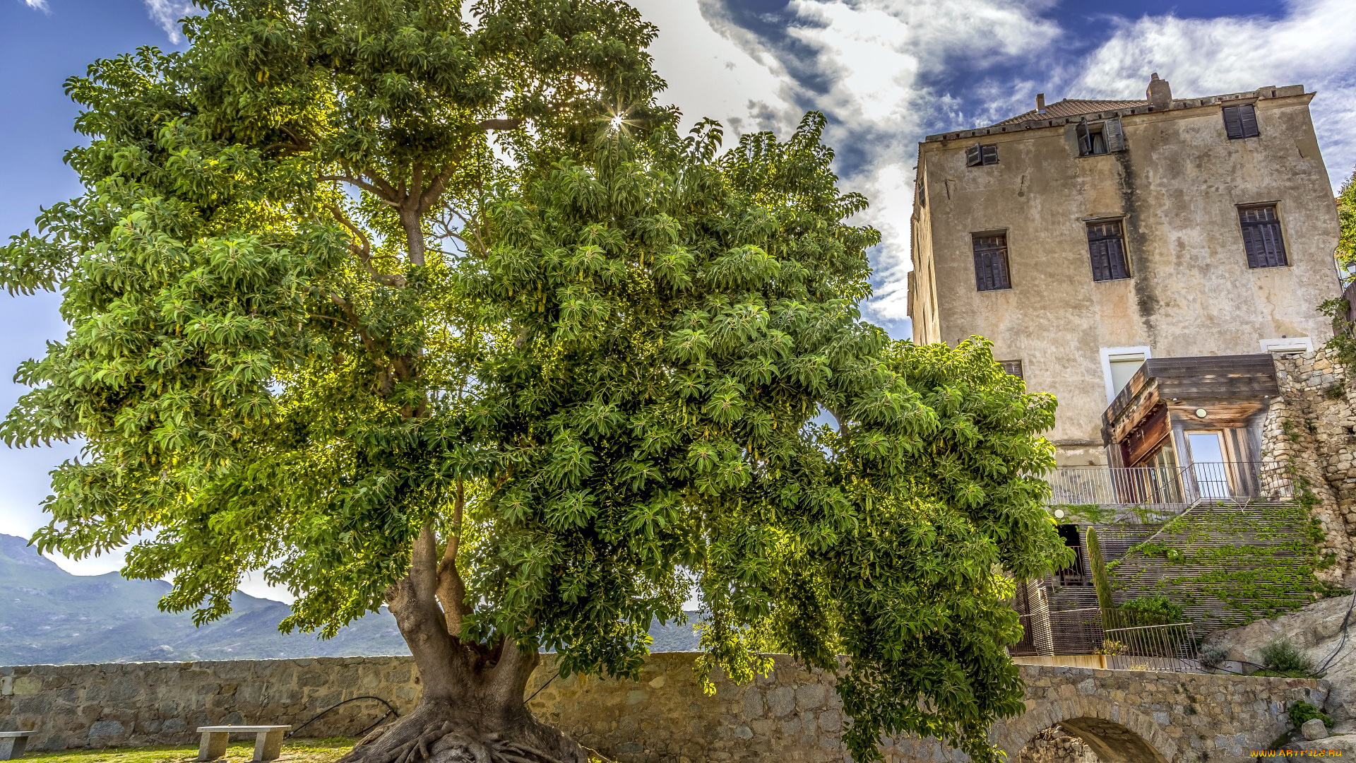 calvi, corsica, france, города, кальви, , франция
