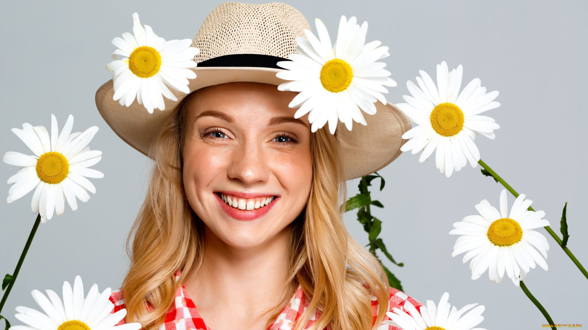 девушки, -, блондинки, , светловолосые, шляпа, ромашки, улыбка