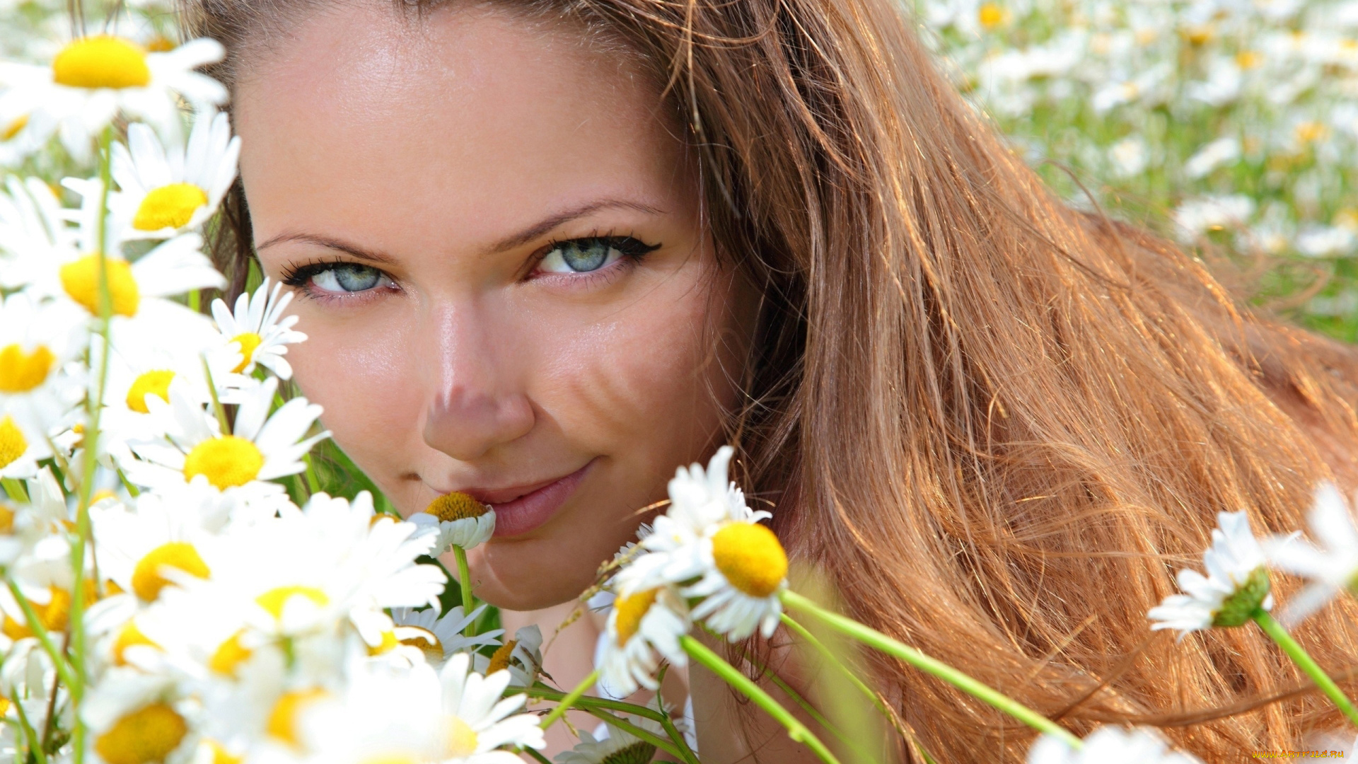 девушки, -, лица, , портреты, ромашки