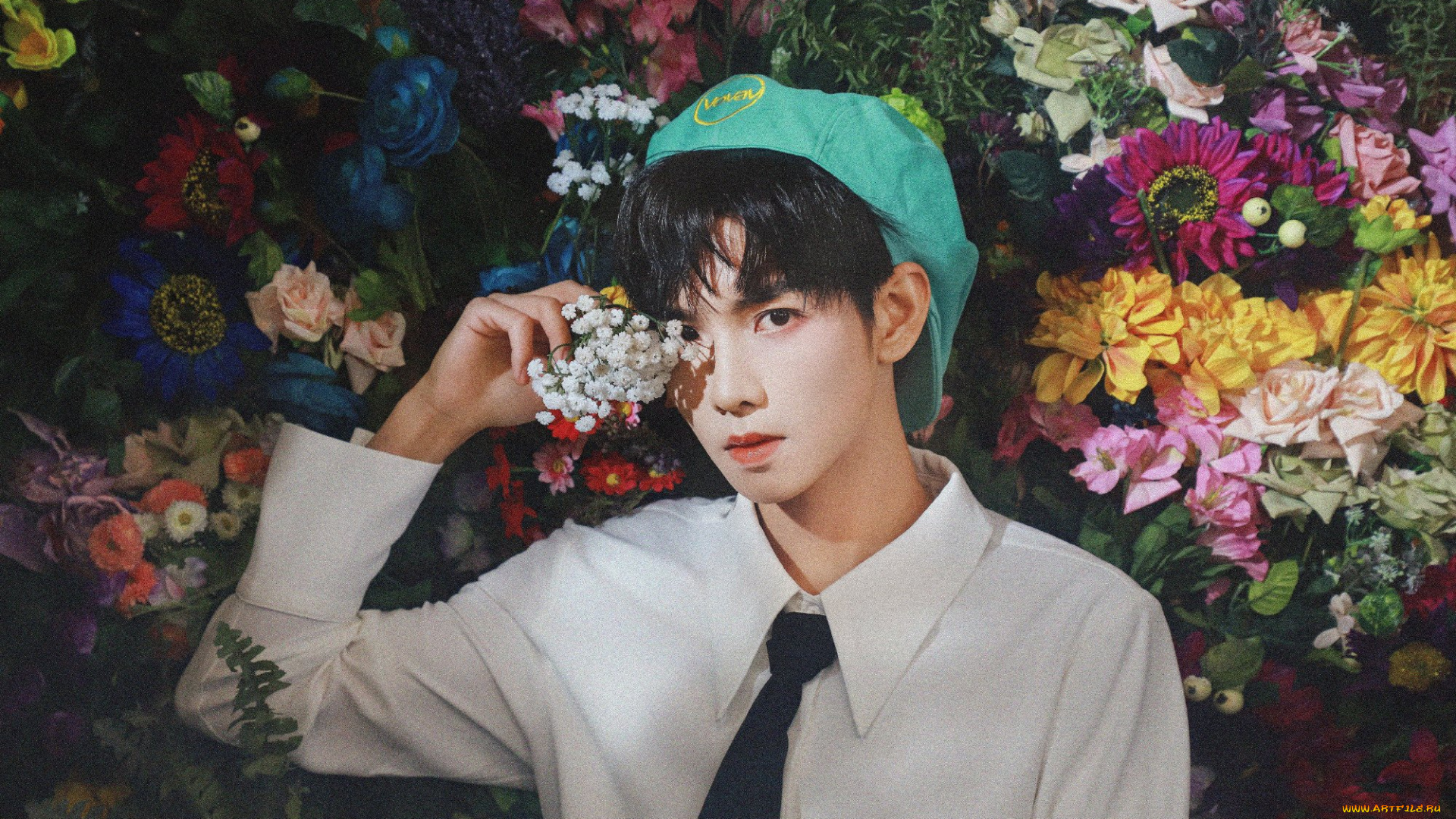 мужчины, zheng, fan, xing, чжэн, фаньсин