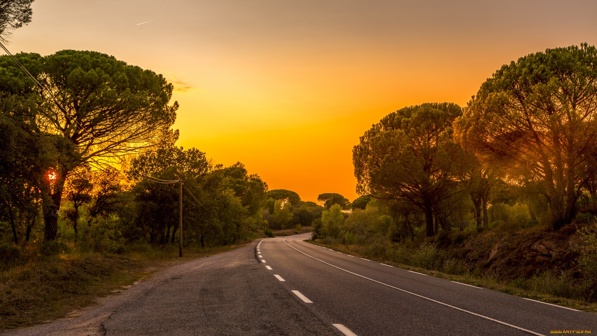 природа, дороги, шоссе