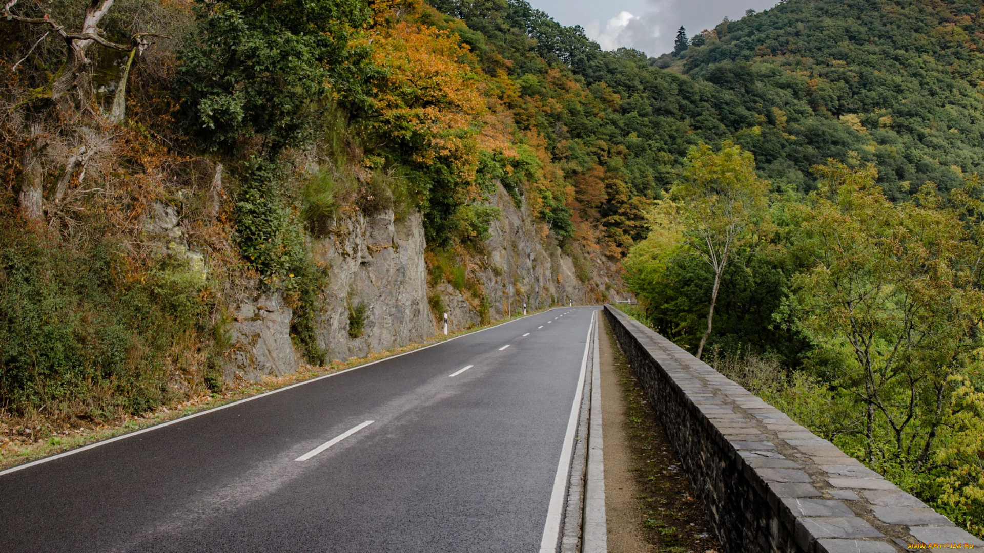 природа, дороги, шоссе