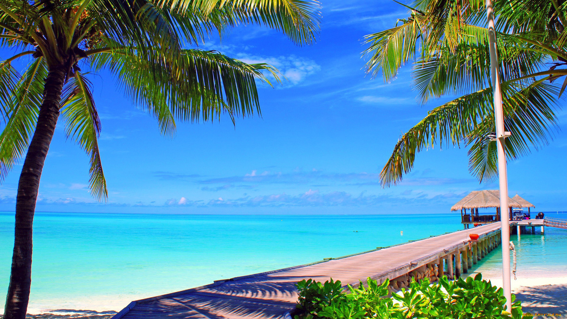природа, тропики, море, пляж, пальмы