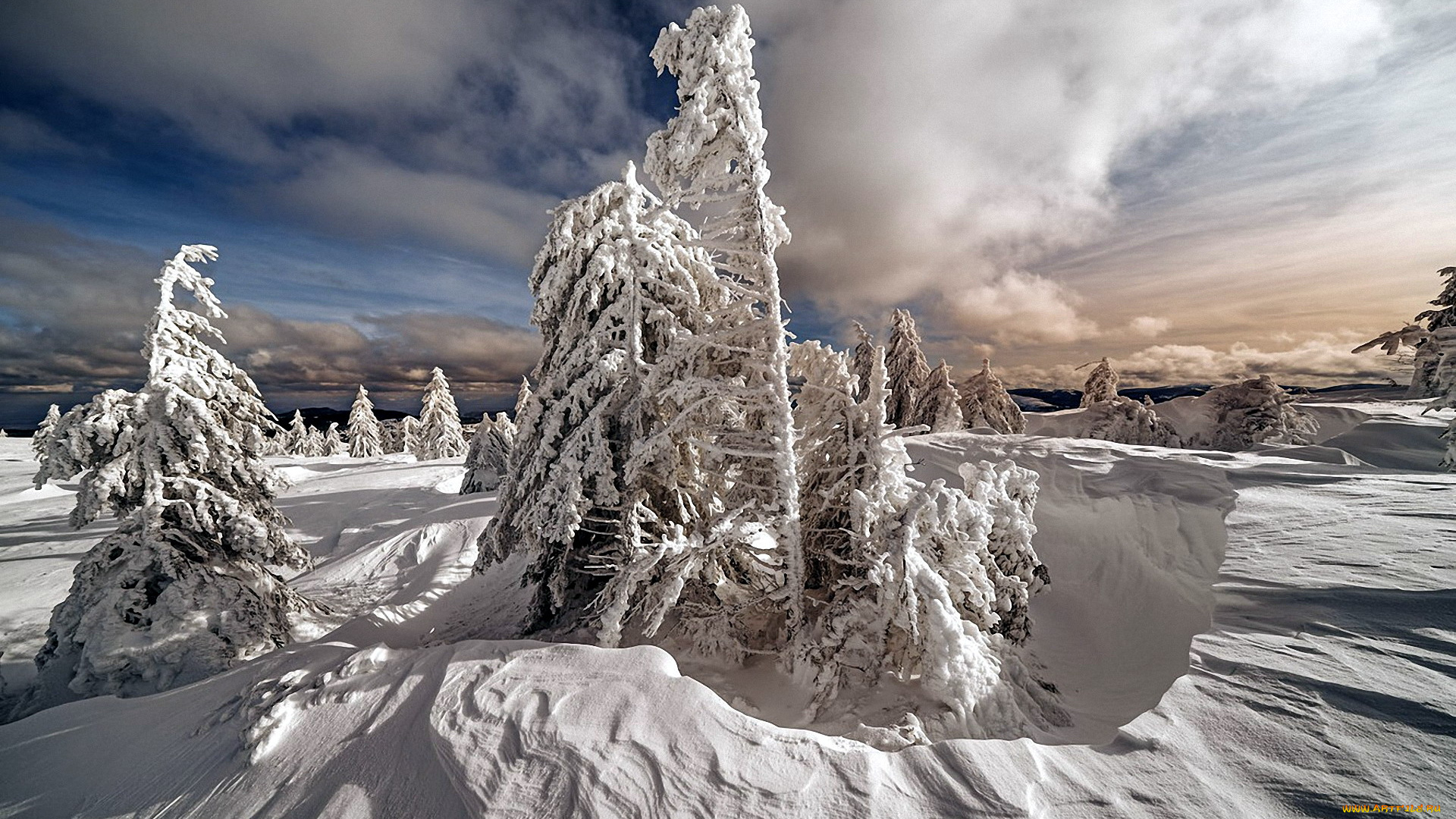 природа, зима, снег, сугробы