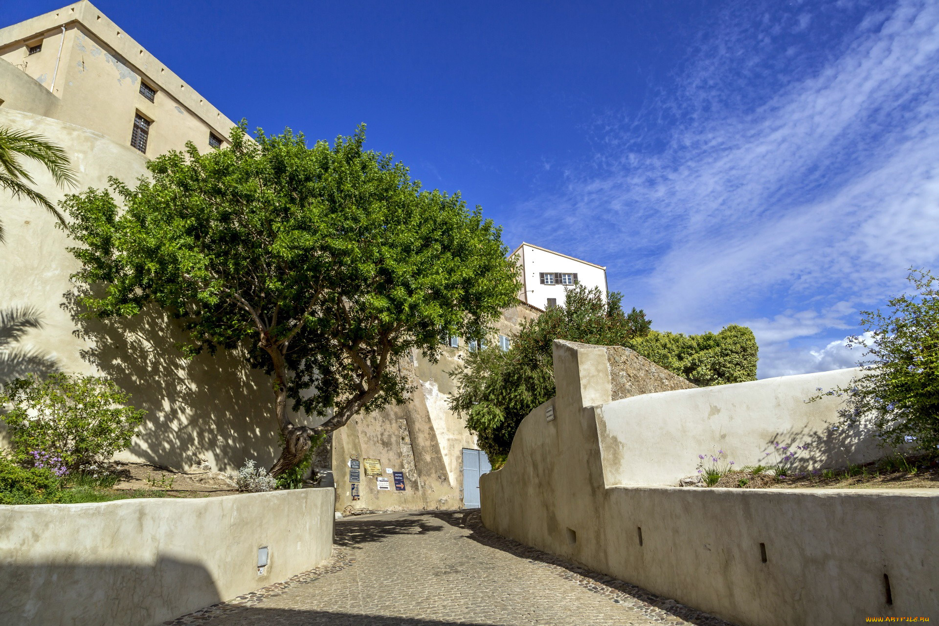 calvi, corsica, france, города, кальви, , франция