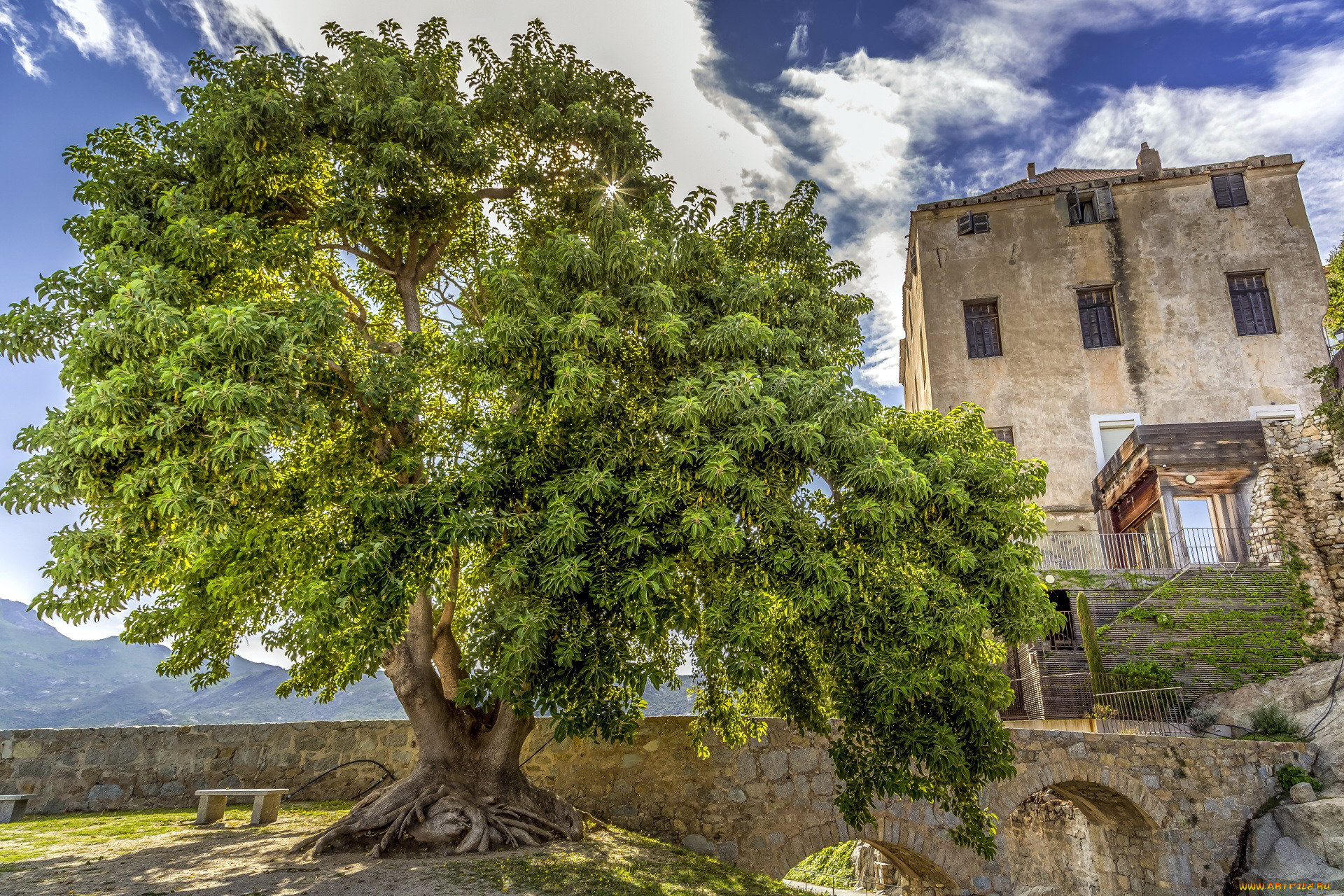 calvi, corsica, france, города, кальви, , франция