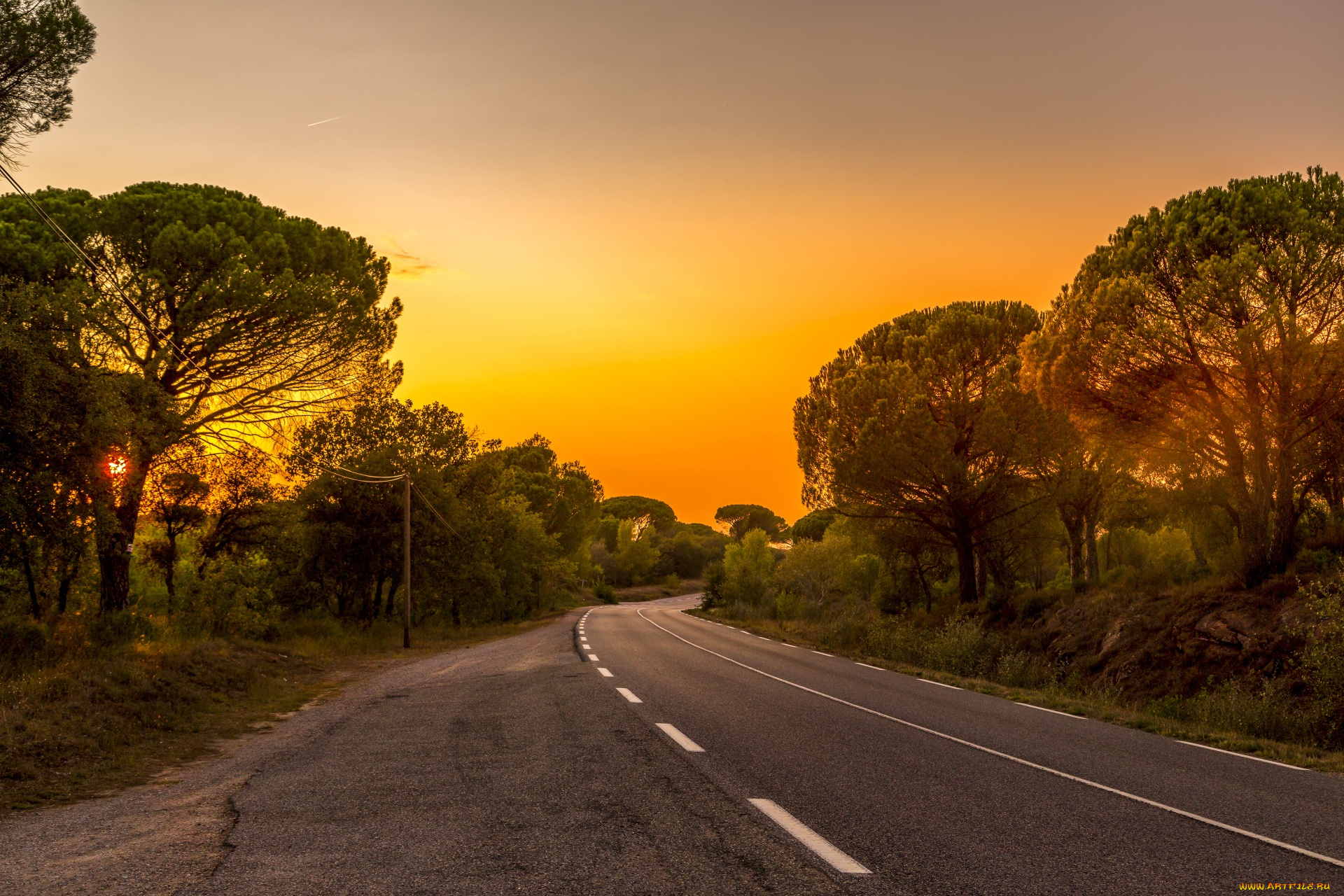 природа, дороги, шоссе